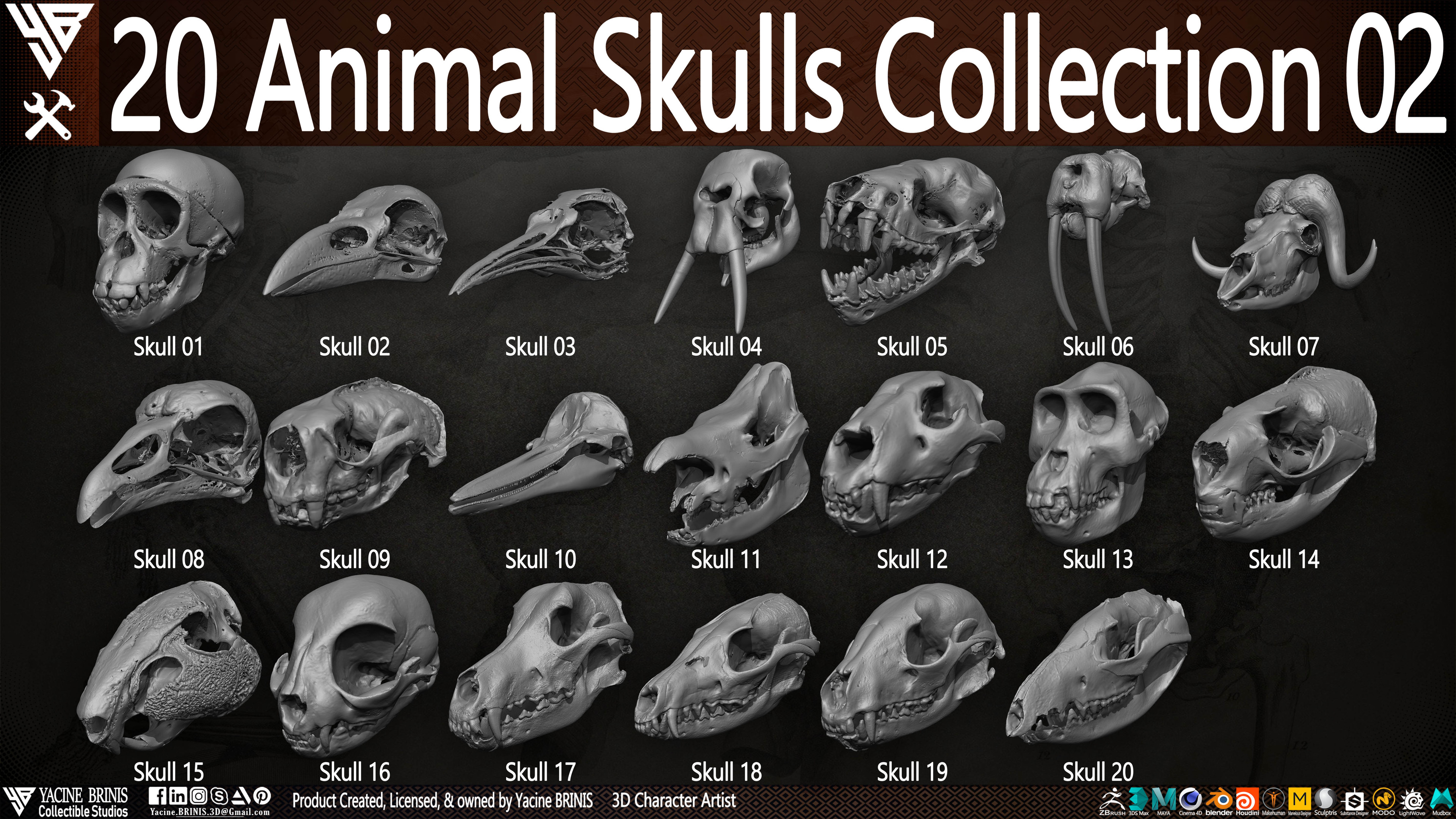 20 Animal Skulls Collection 03 By Yacine BRINIS Set 029