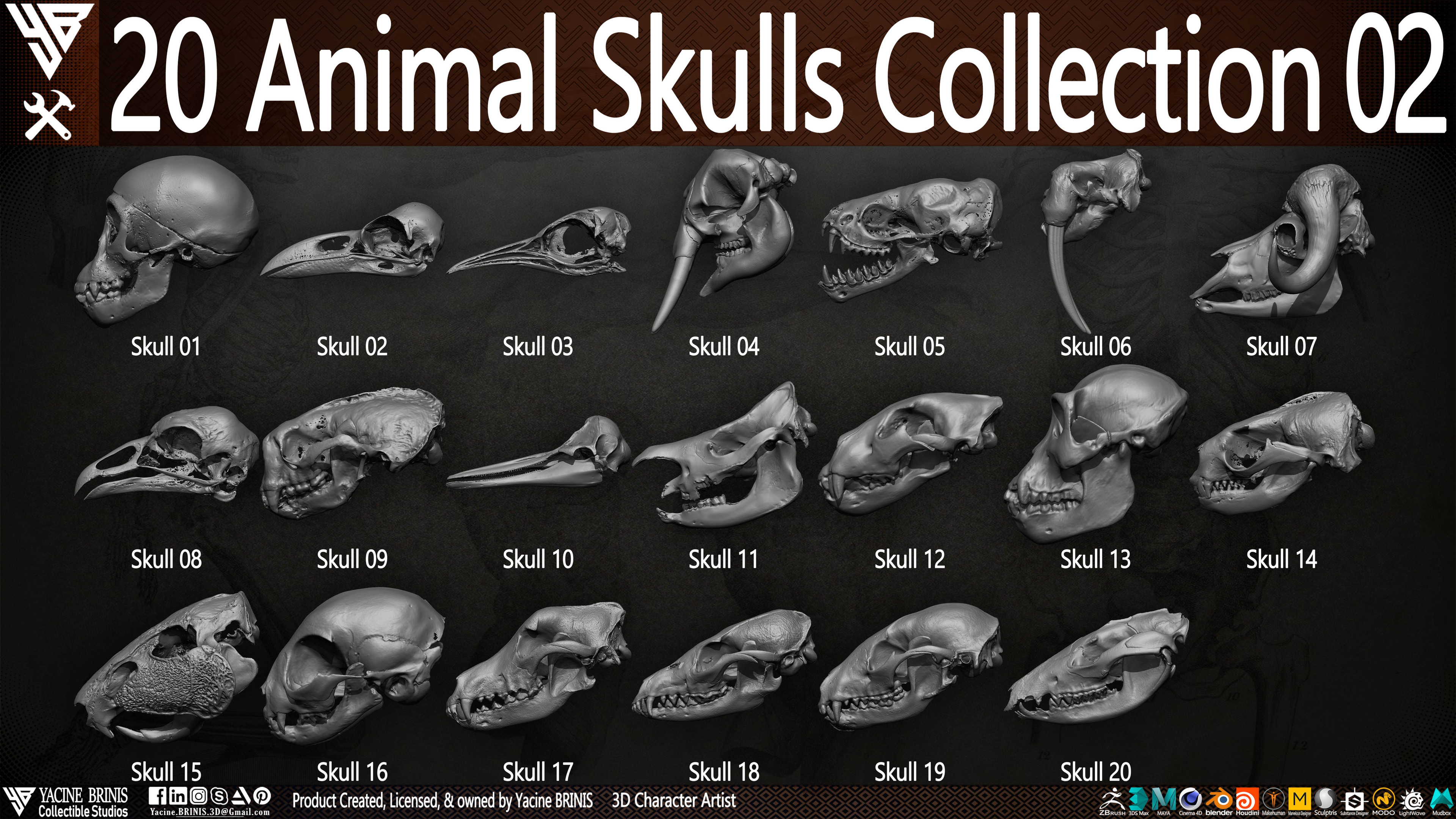 20 Animal Skulls Collection 03 By Yacine BRINIS Set 030