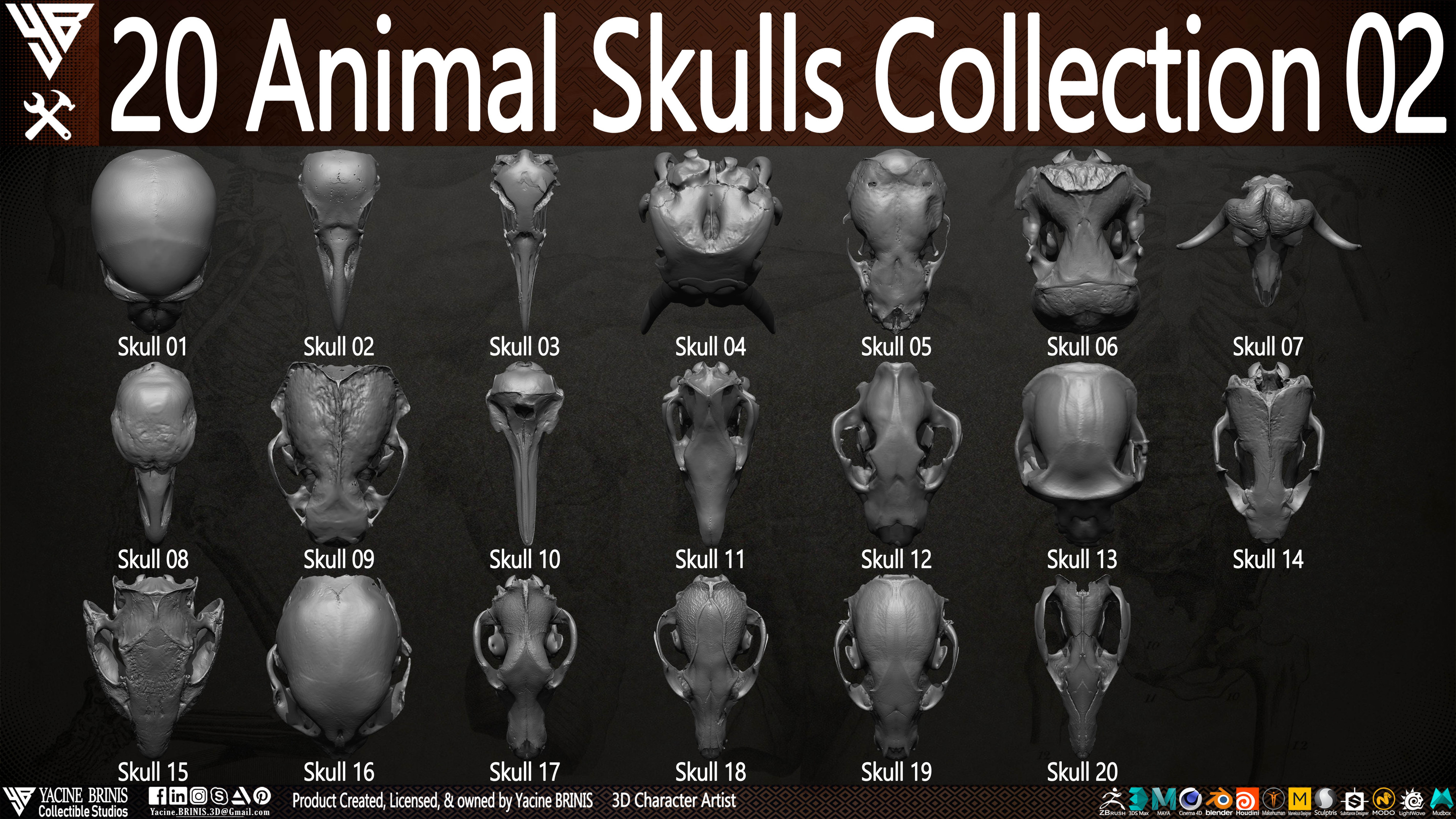 20 Animal Skulls Collection 03 By Yacine BRINIS Set 031