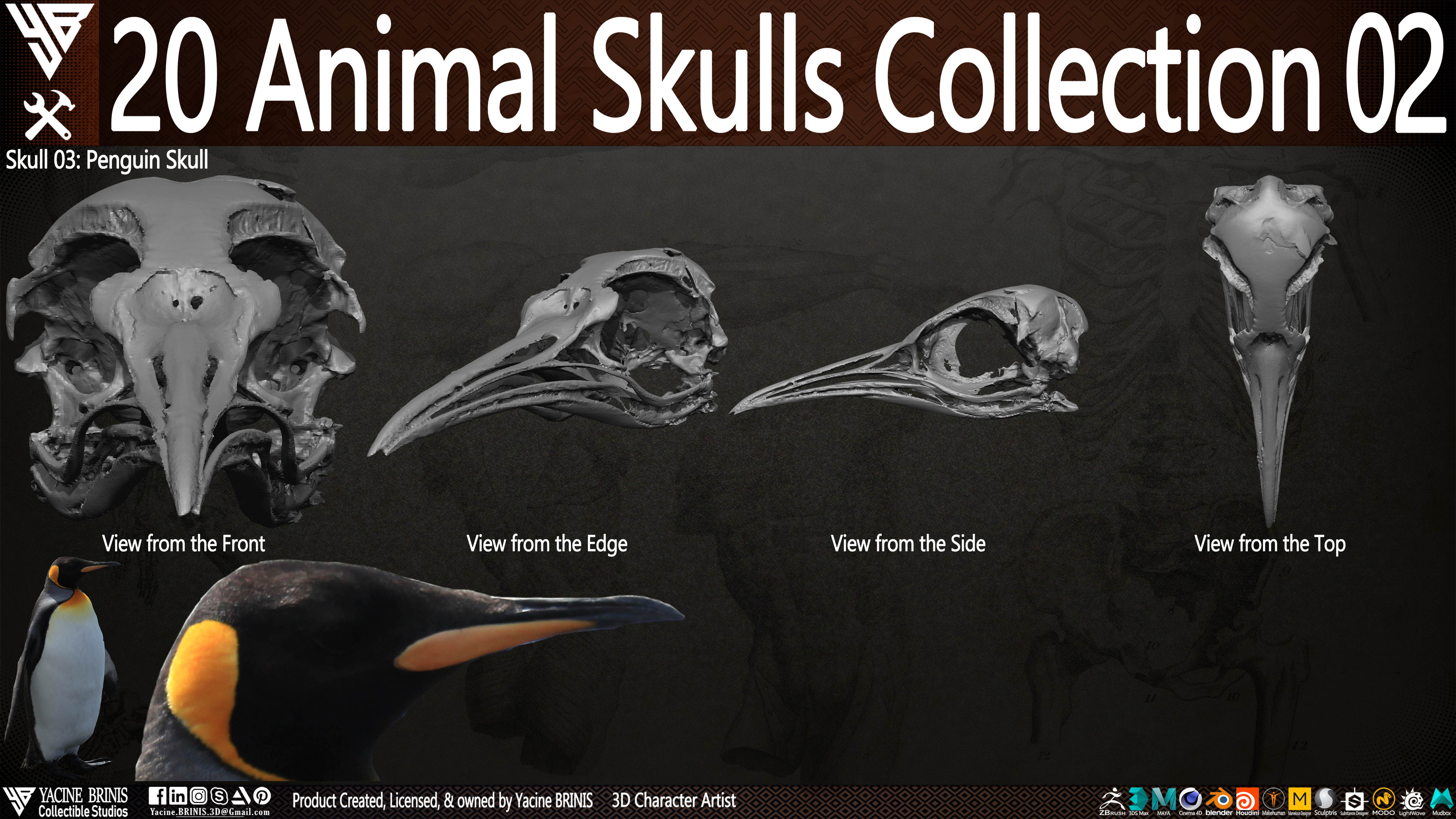 20 Animal Skulls Collection 03 By Yacine BRINIS Set 034