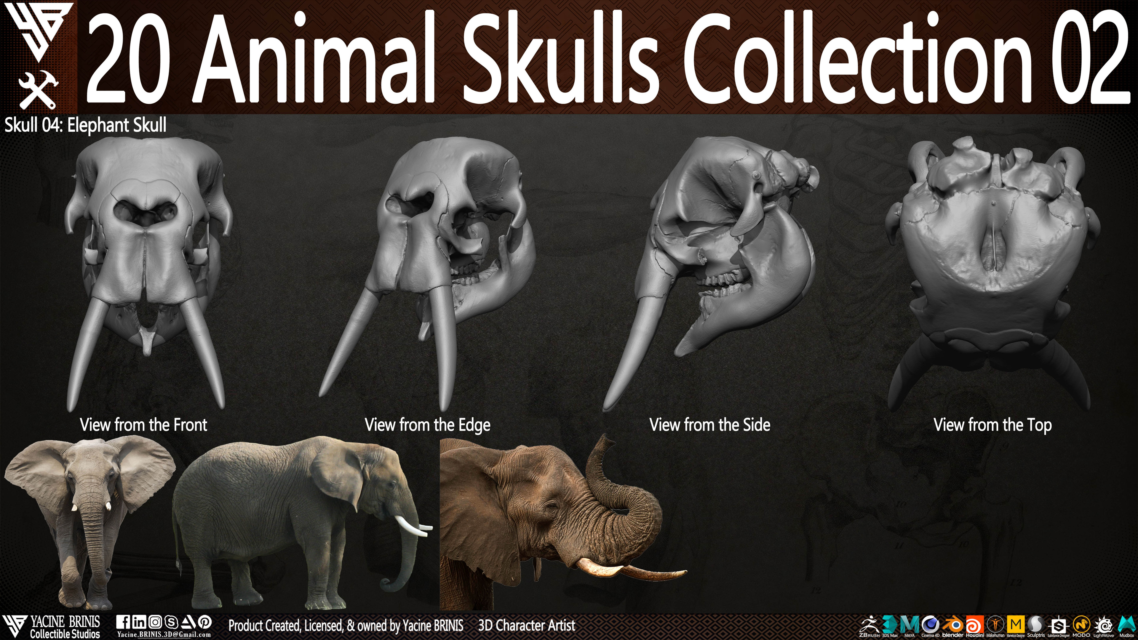 20 Animal Skulls Collection 03 By Yacine BRINIS Set 035