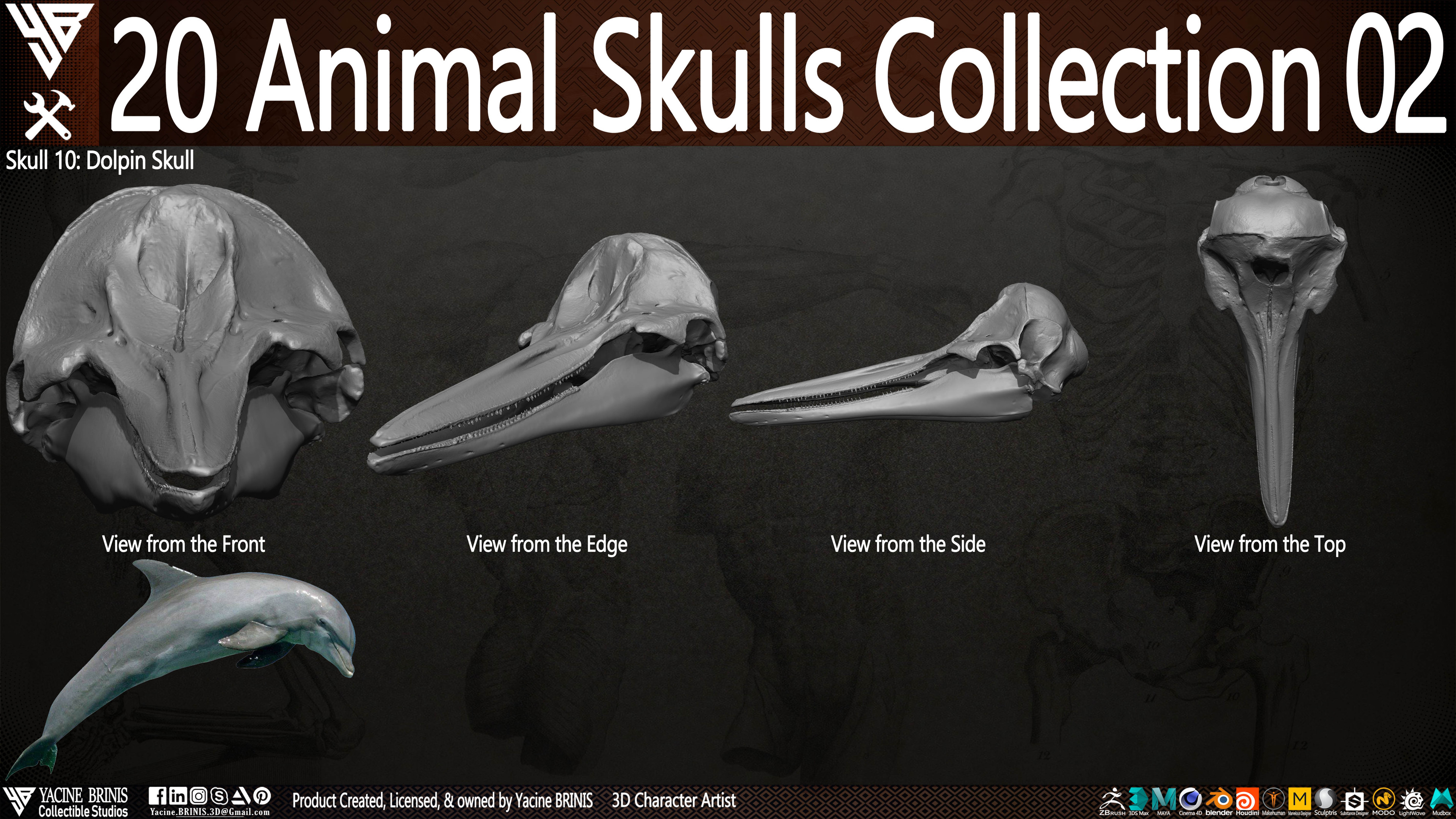 20 Animal Skulls Collection 03 By Yacine BRINIS Set 041