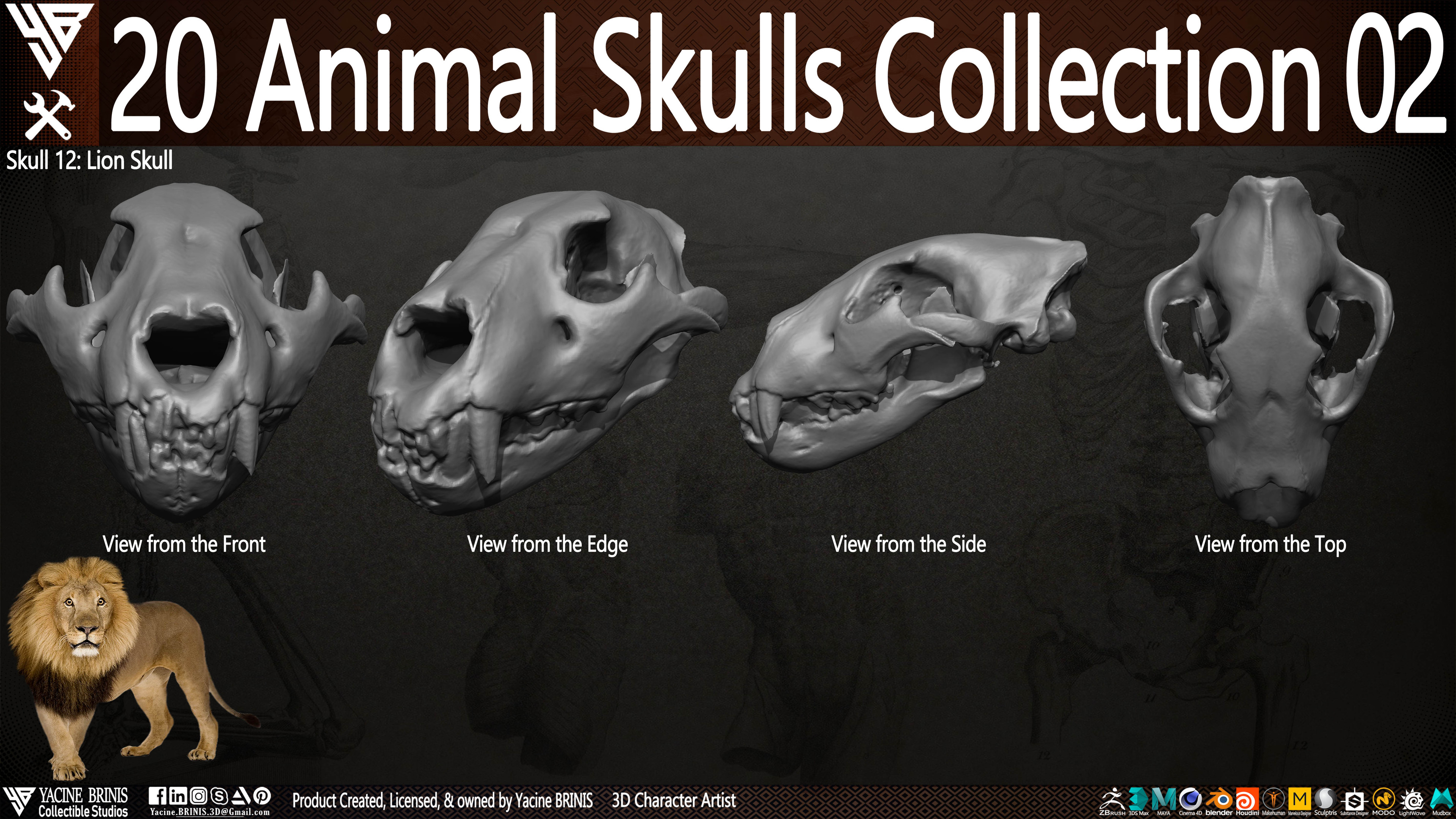 20 Animal Skulls Collection 03 By Yacine BRINIS Set 043