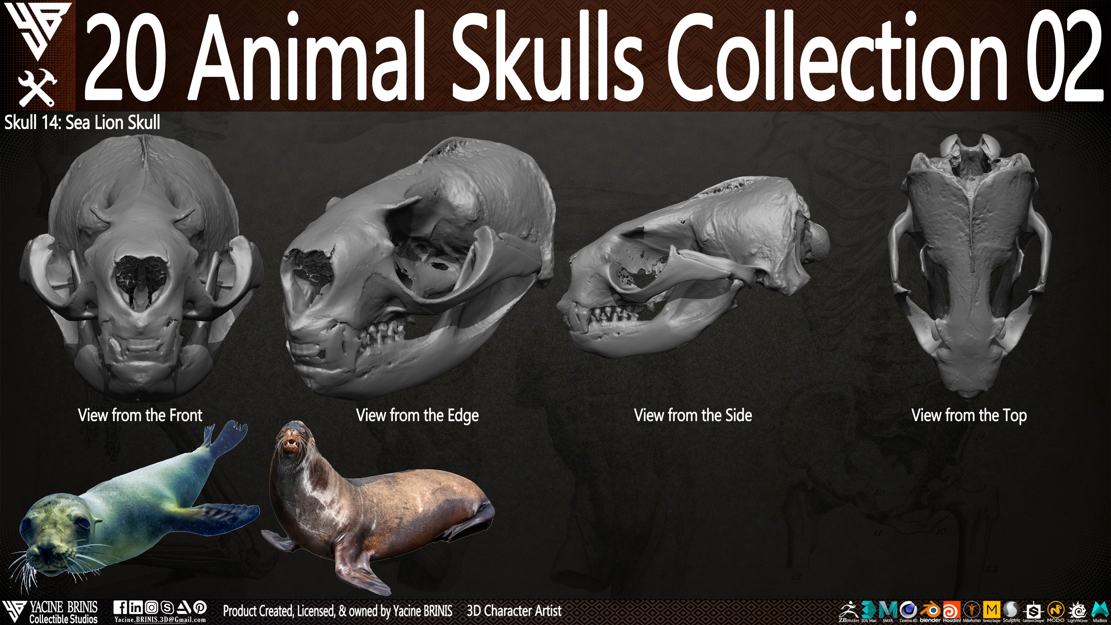 20 Animal Skulls Collection 03 By Yacine BRINIS Set 045