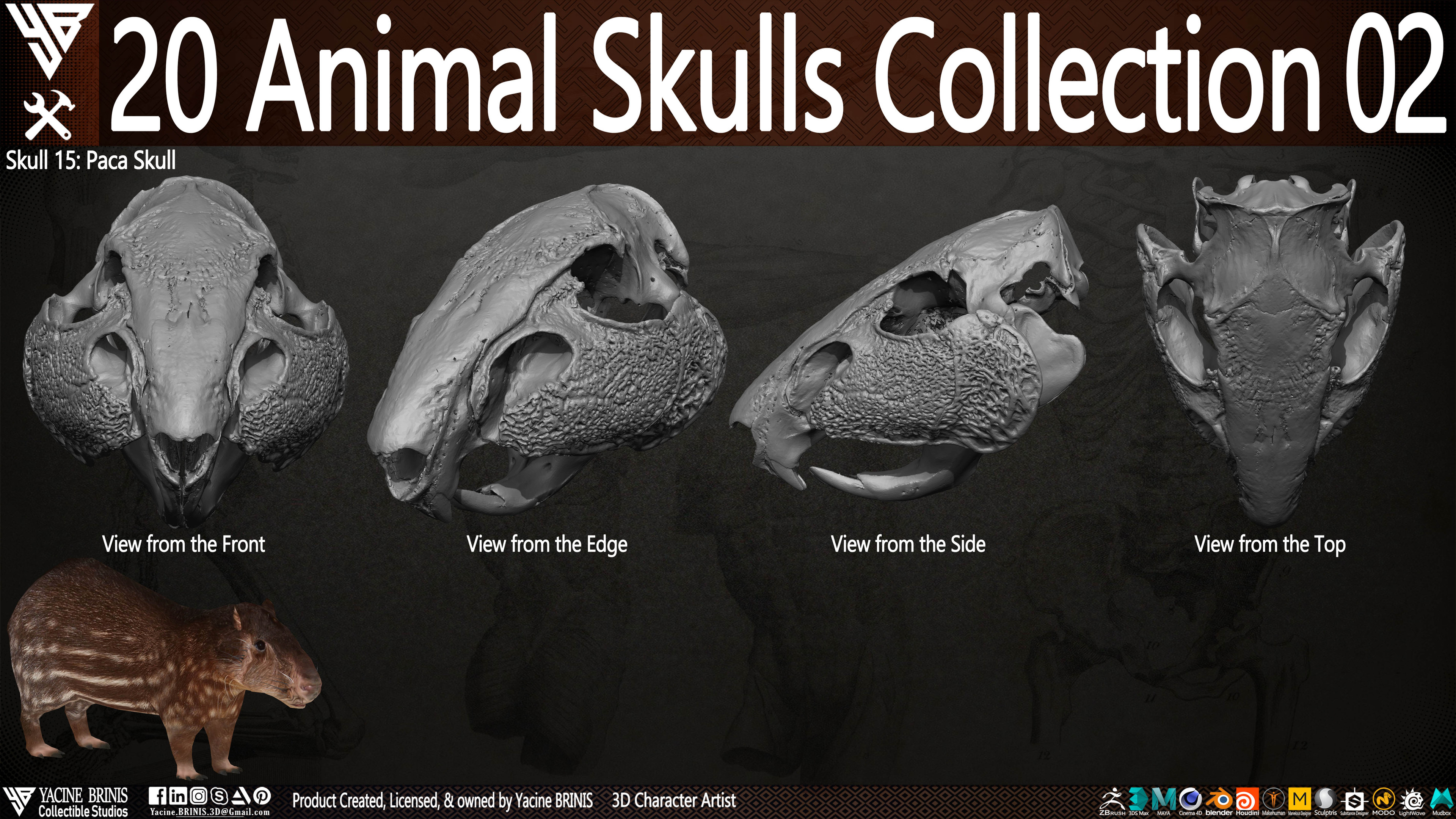 20 Animal Skulls Collection 03 By Yacine BRINIS Set 046