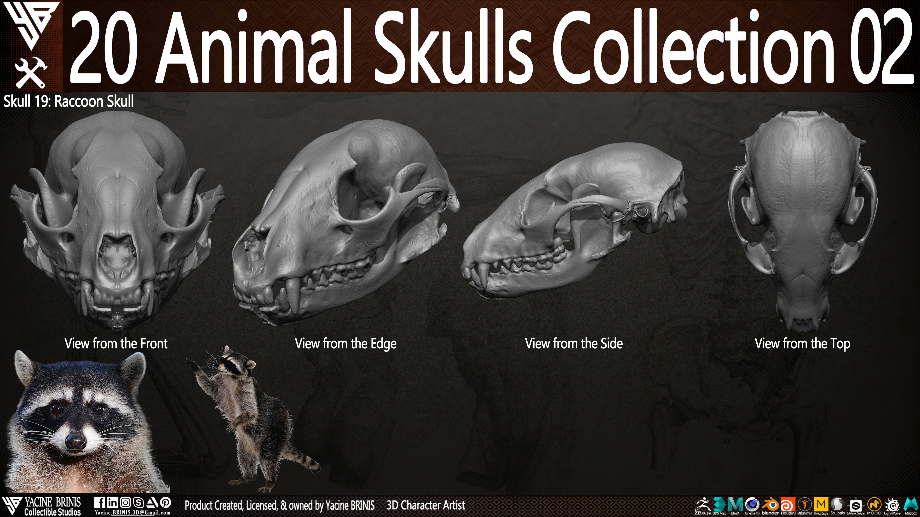 20 Animal Skulls Collection 03 By Yacine BRINIS Set 050