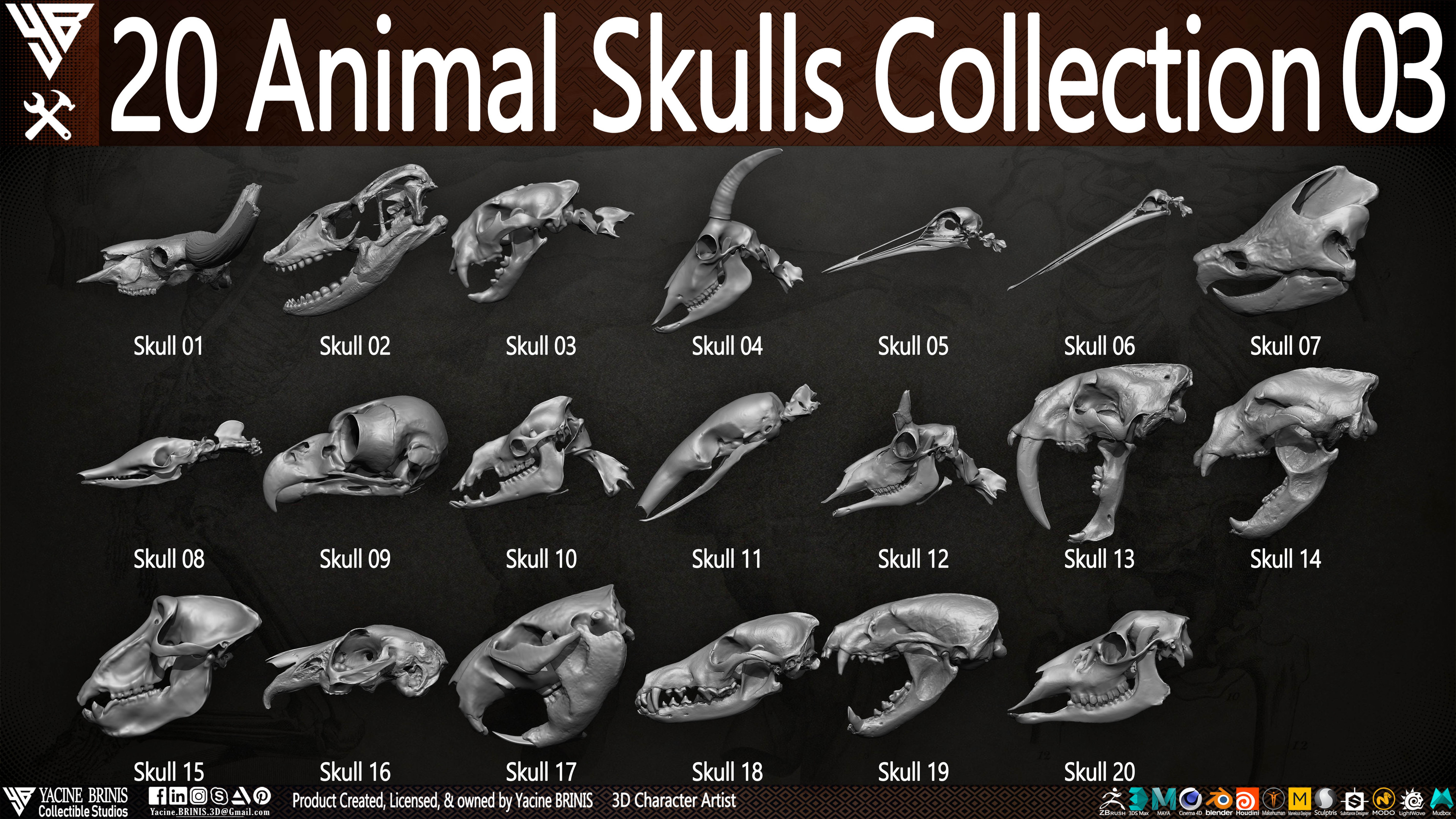 20 Animal Skulls Collection 03 By Yacine BRINIS Set 055