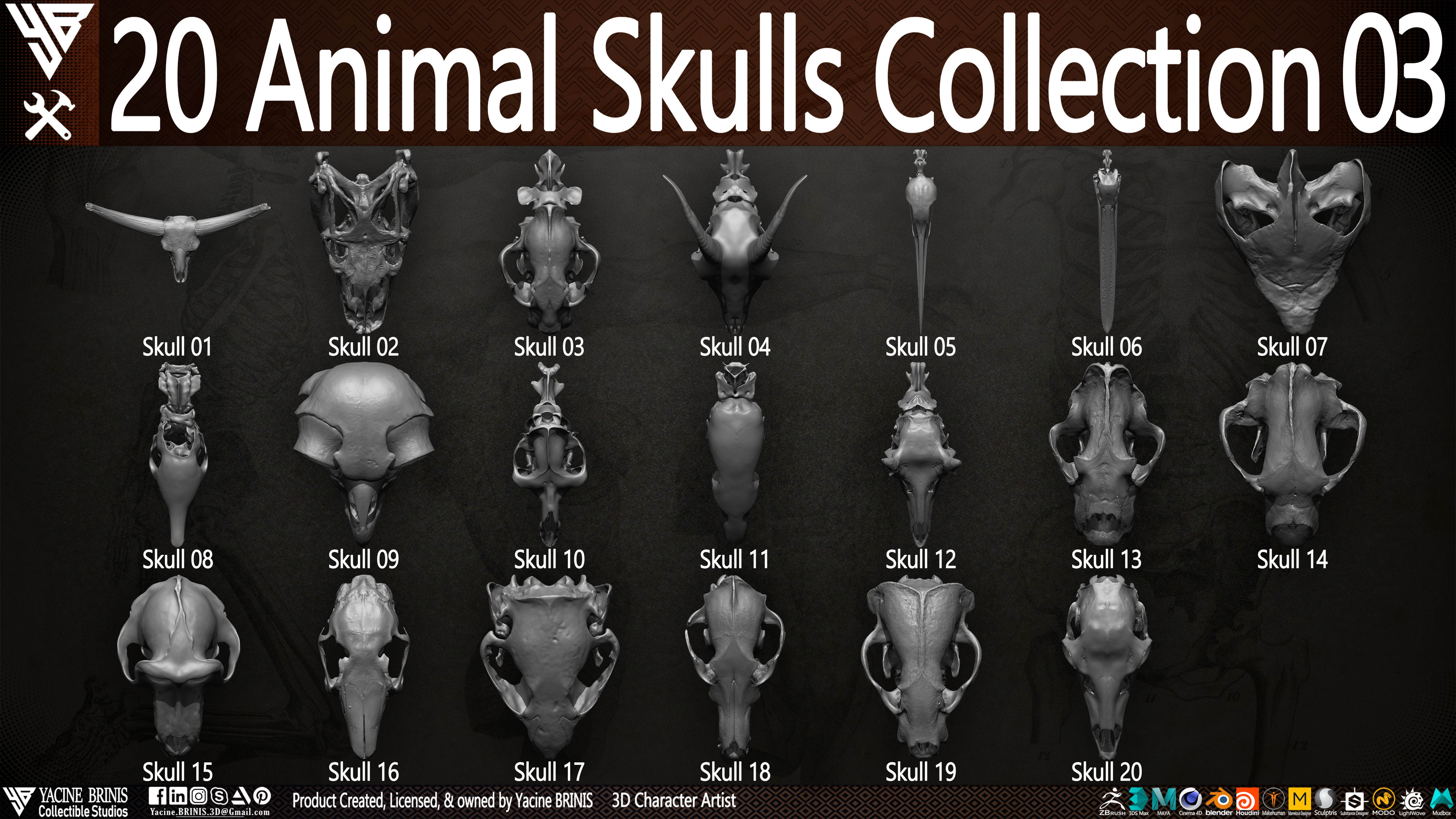 20 Animal Skulls Collection 03 By Yacine BRINIS Set 056