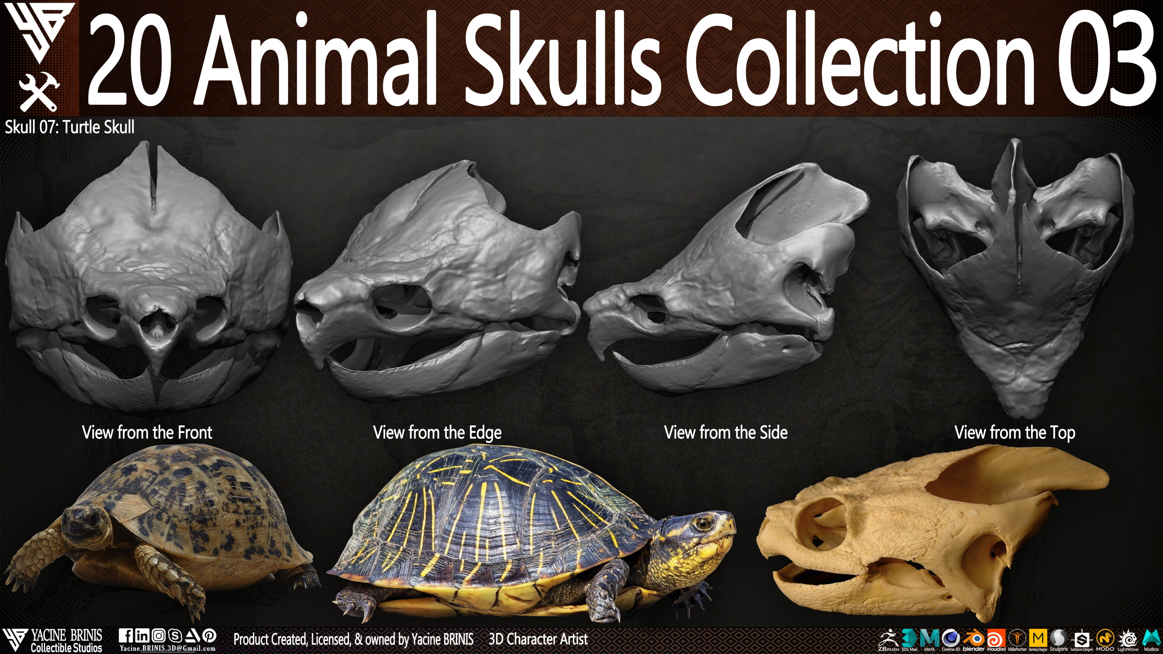 20 Animal Skulls Collection 03 By Yacine BRINIS Set 063