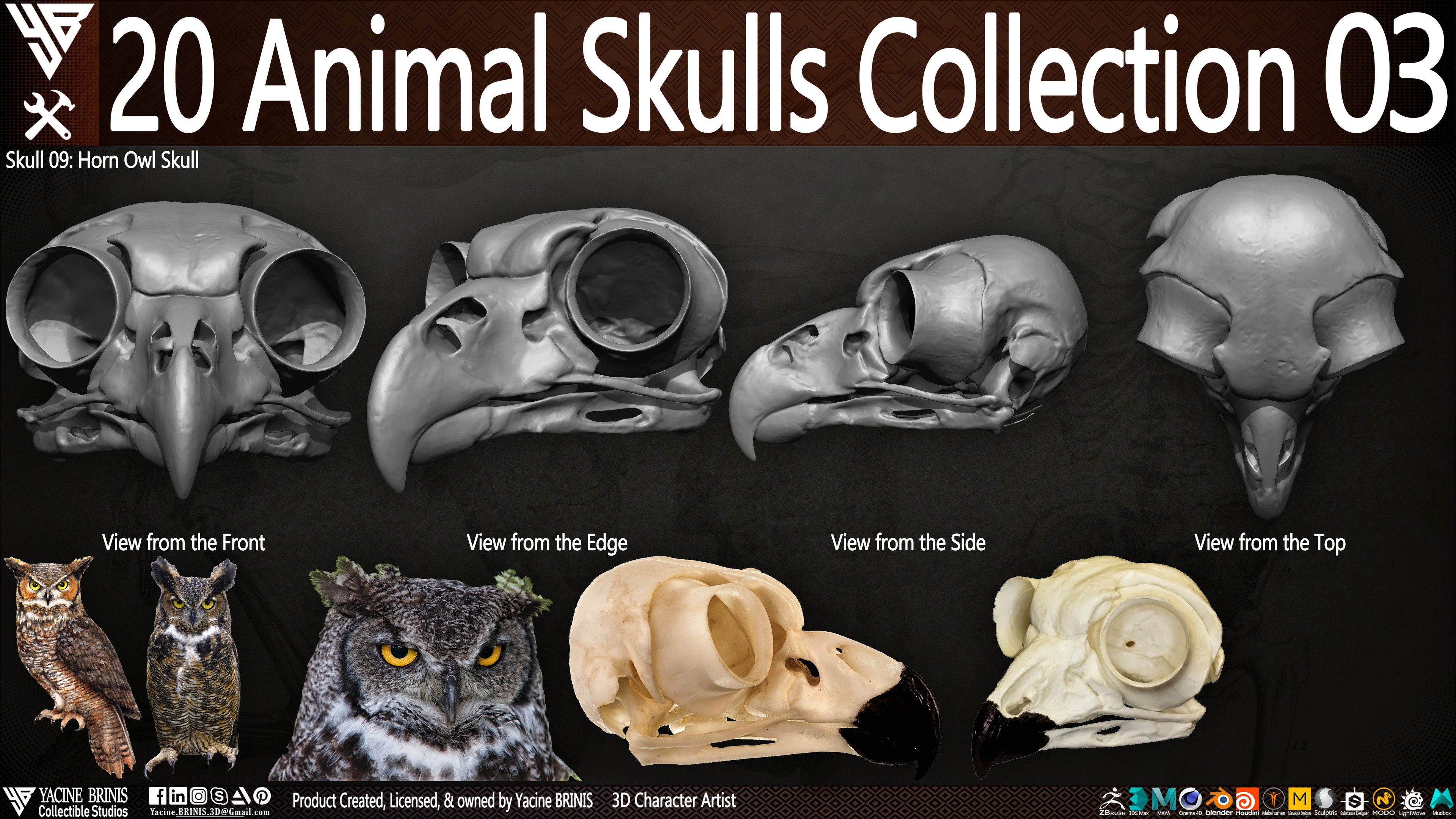 20 Animal Skulls Collection 03 By Yacine BRINIS Set 065