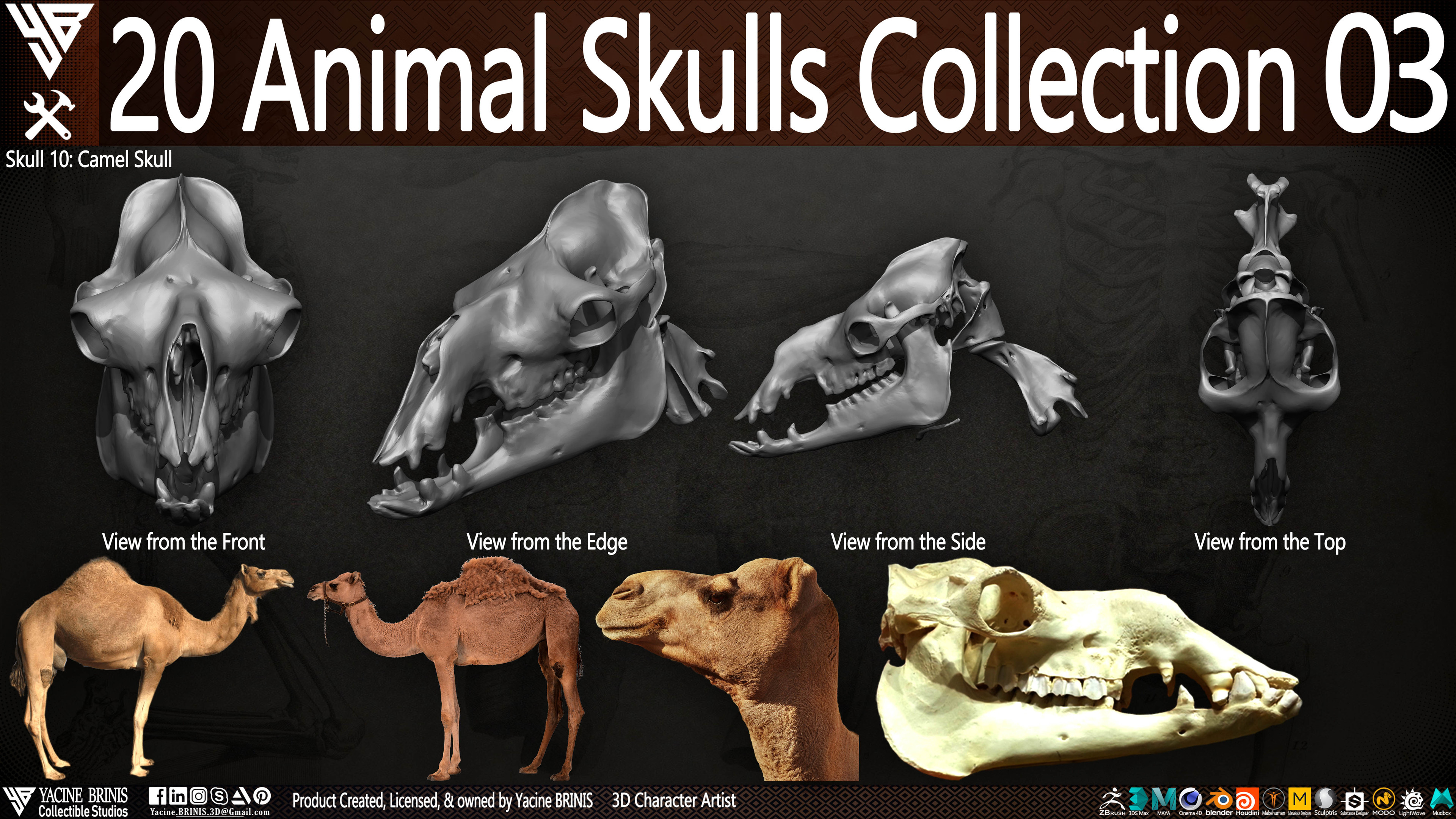 20 Animal Skulls Collection 03 By Yacine BRINIS Set 066