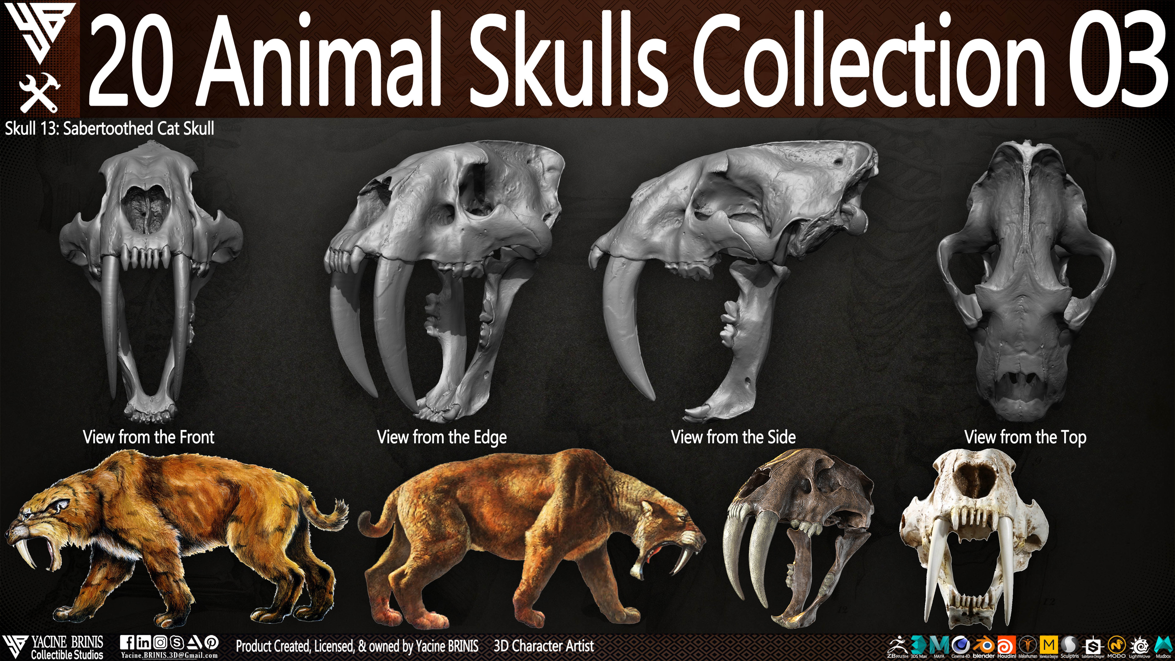 20 Animal Skulls Collection 03 By Yacine BRINIS Set 069