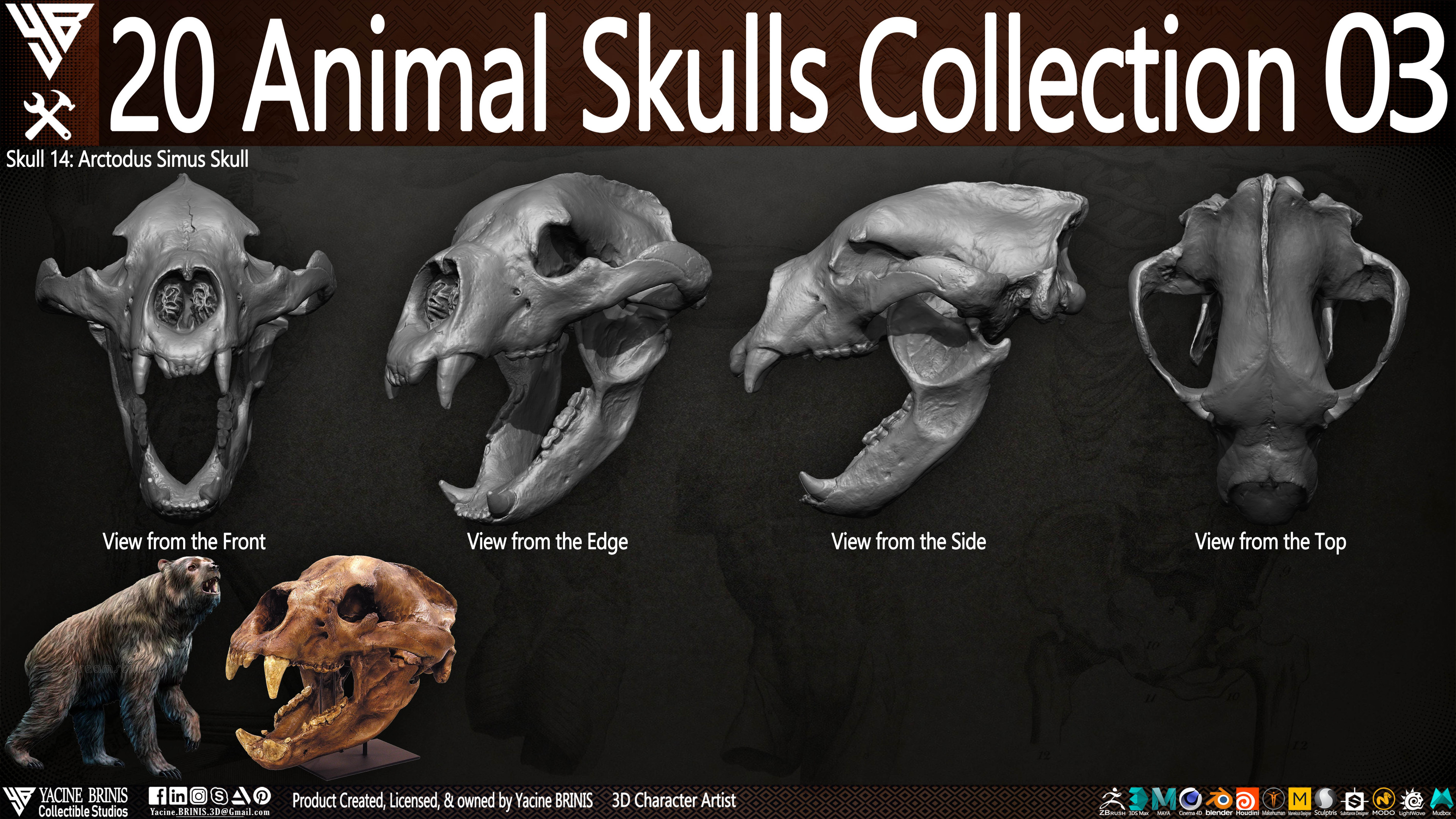 20 Animal Skulls Collection 03 By Yacine BRINIS Set 070