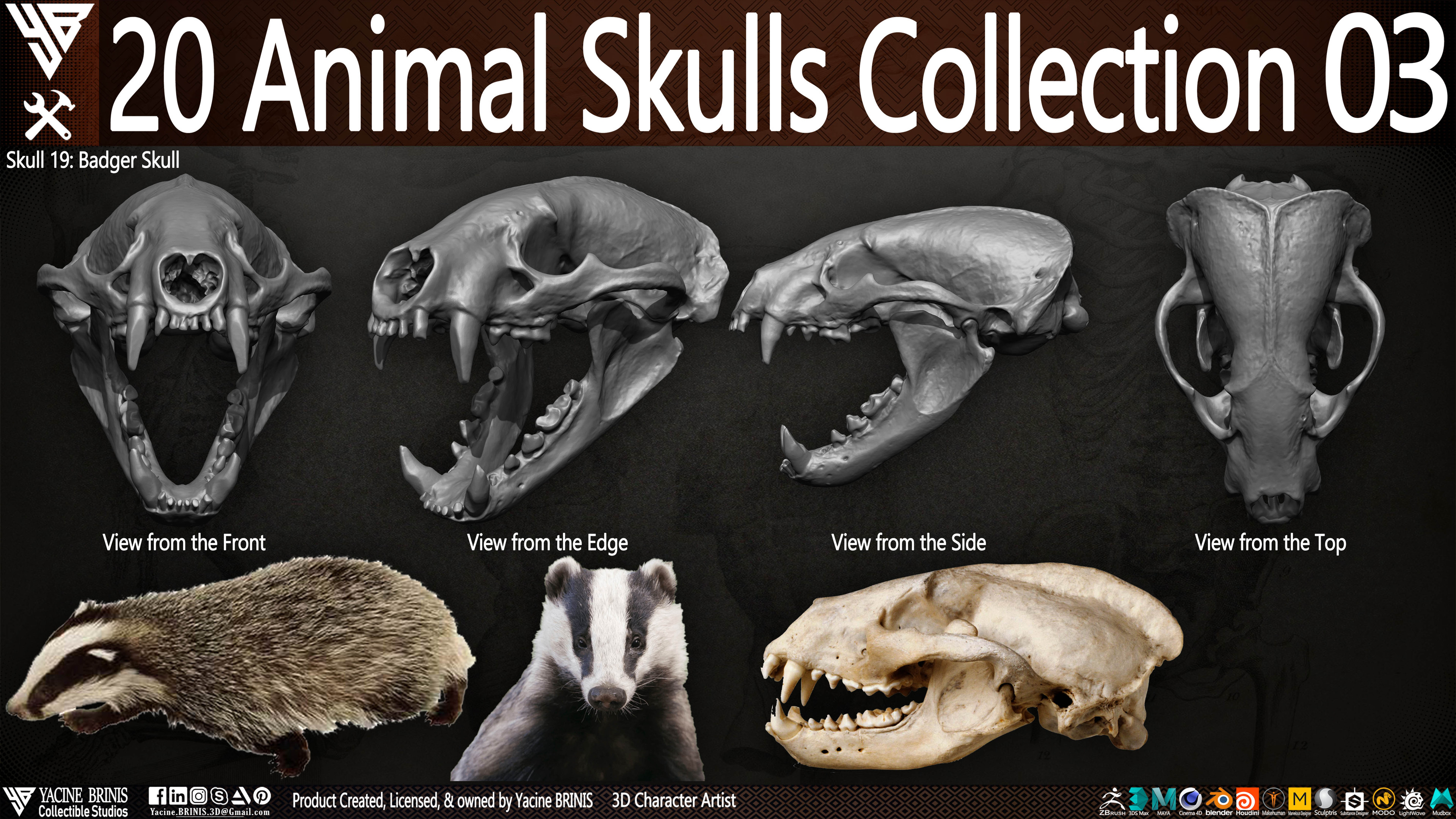 20 Animal Skulls Collection 03 By Yacine BRINIS Set 074