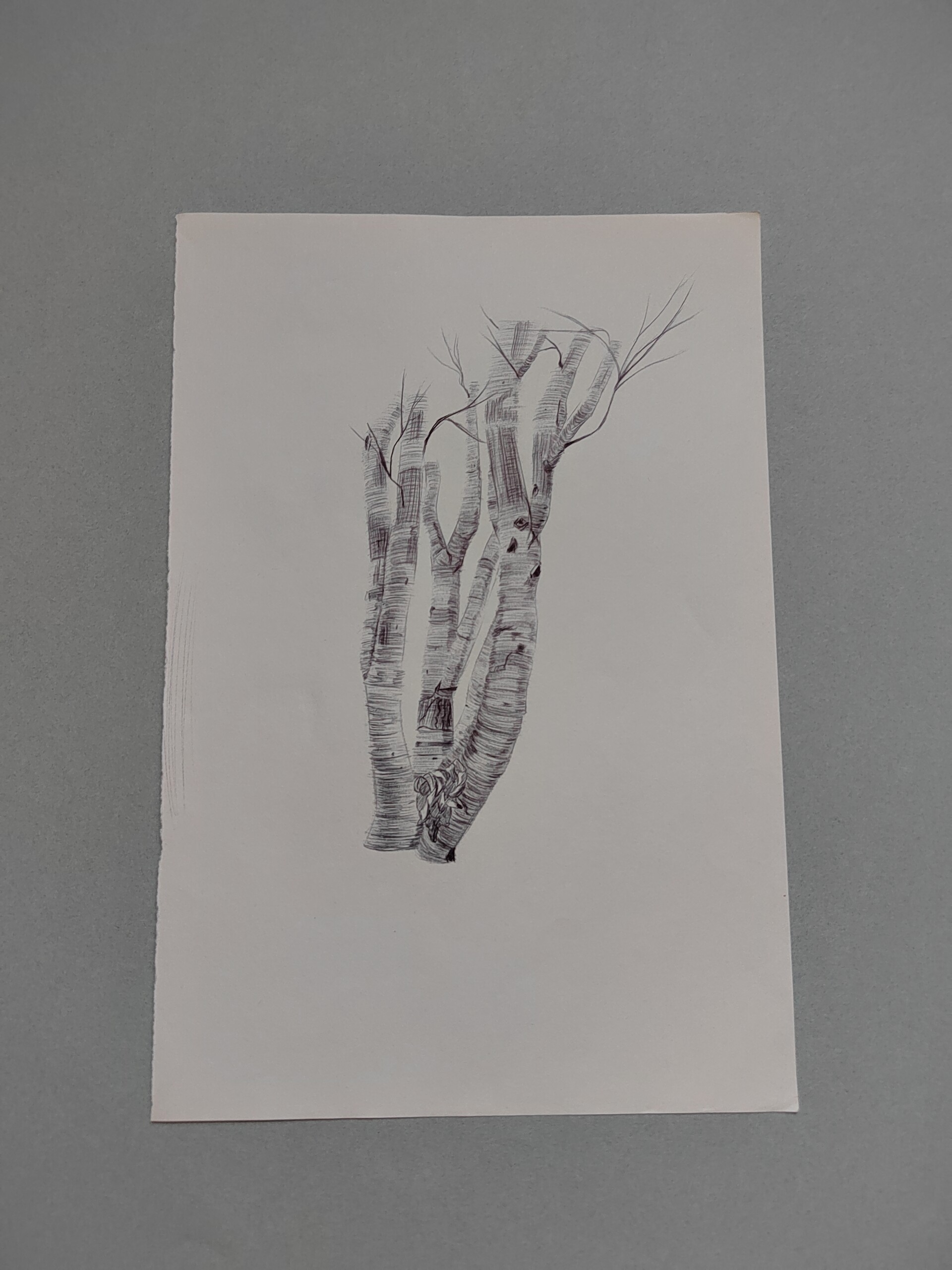 ArtStation Texture/ hatching