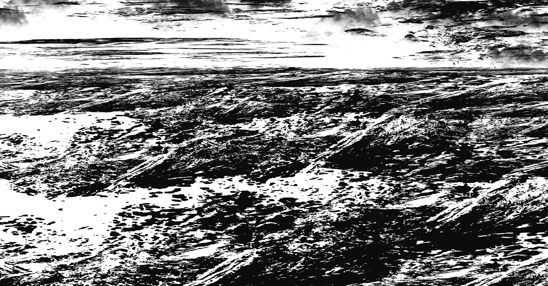 Cookie Liu Black and White Draft Exercise