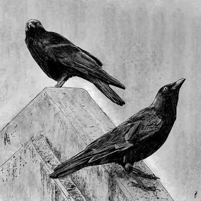 Hierobenth two crows pose web