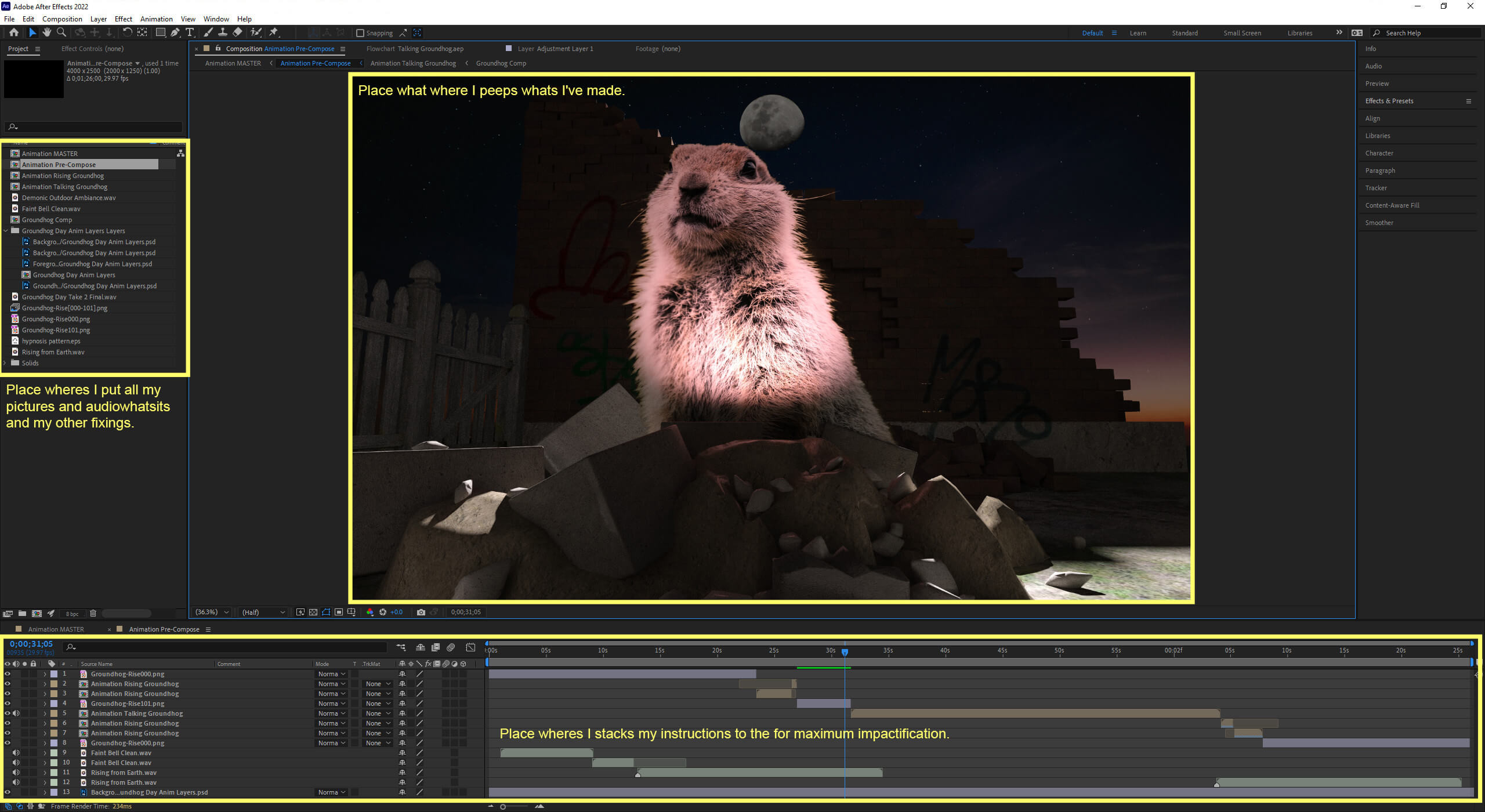 A glimpse of my my extensive animation creation process.