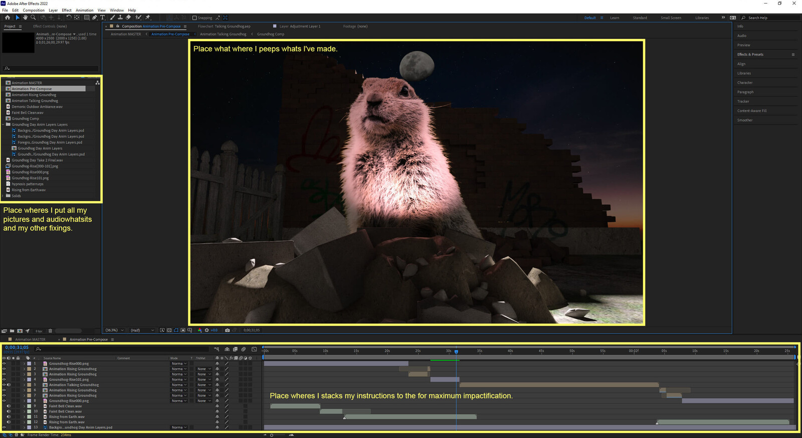 A glimpse of my my extensive animation creation process.