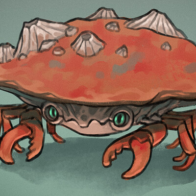 Crab sketch