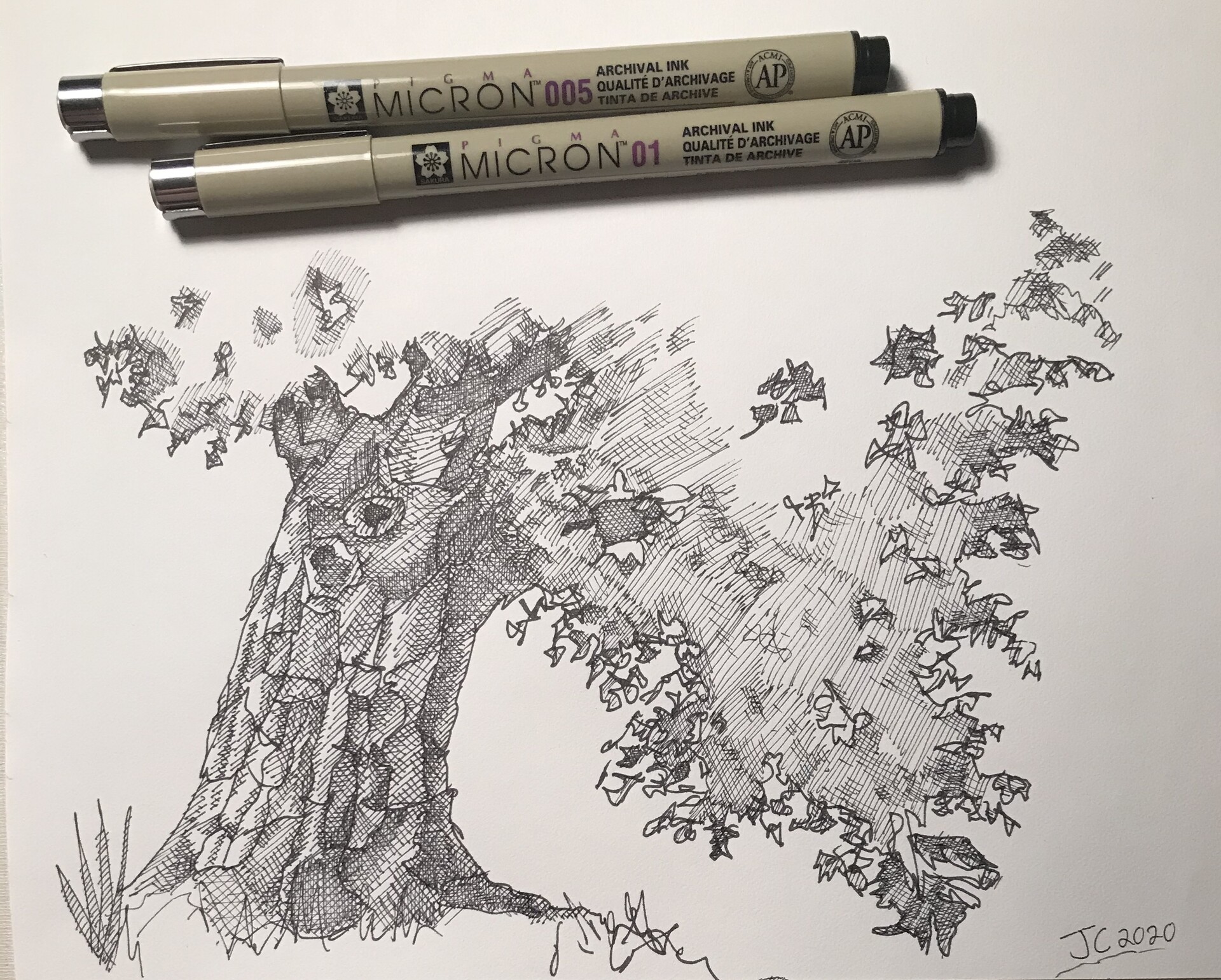 Crosshatch Tree Study by — ProUser.Me