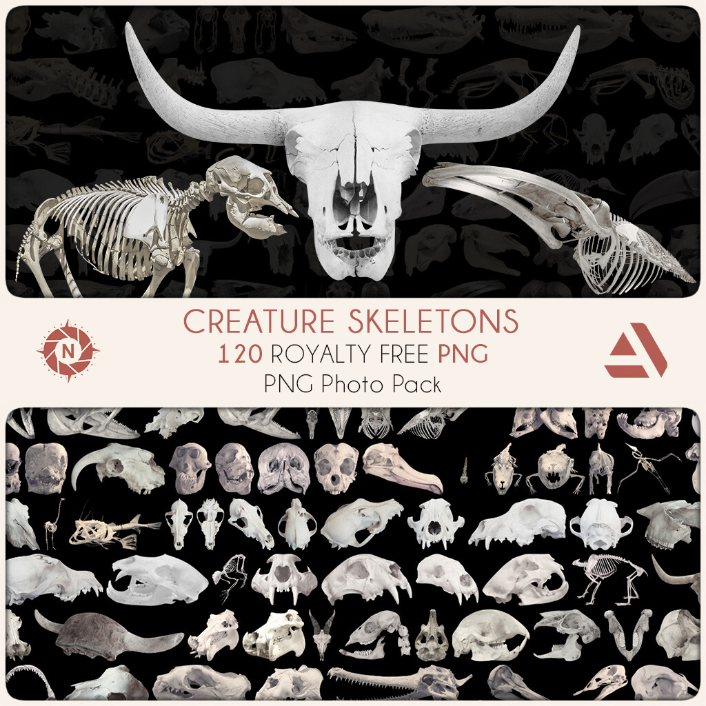 PNG Photo Pack: Creature Skeletons

https://www.artstation.com/a/165842