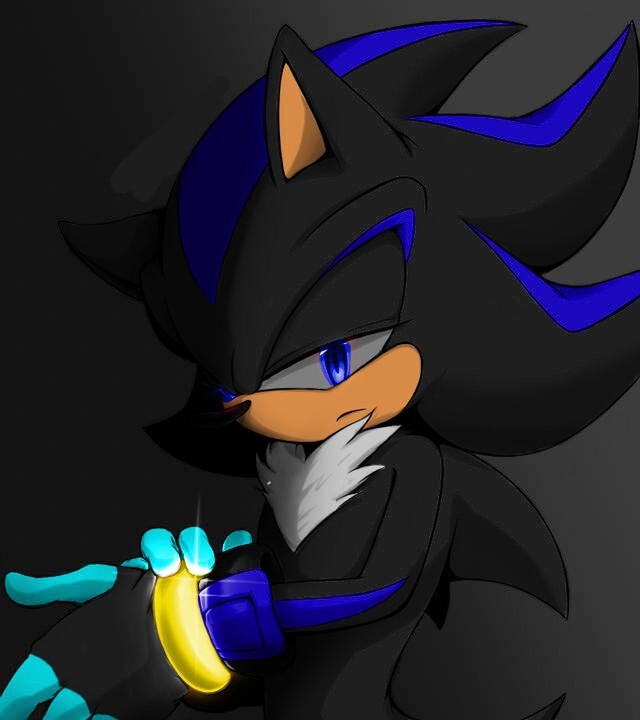 ArtStation - Sonic and Shadow