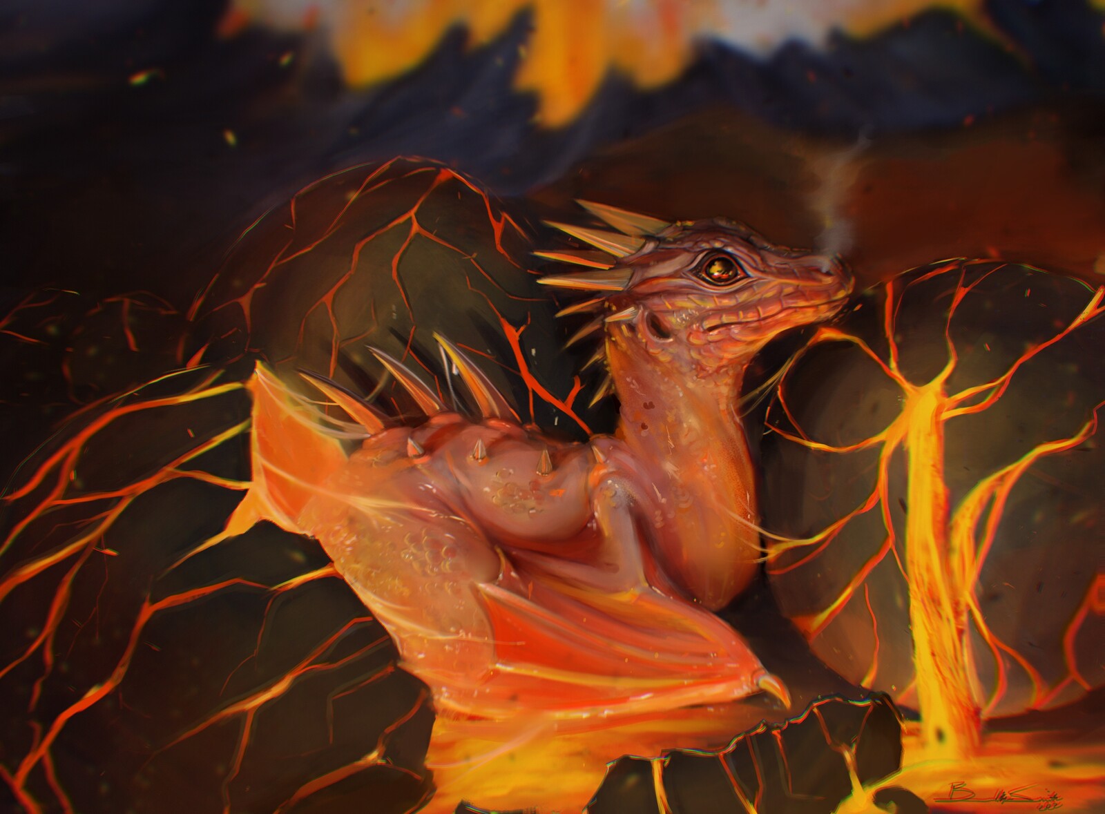 Baby fire dragon