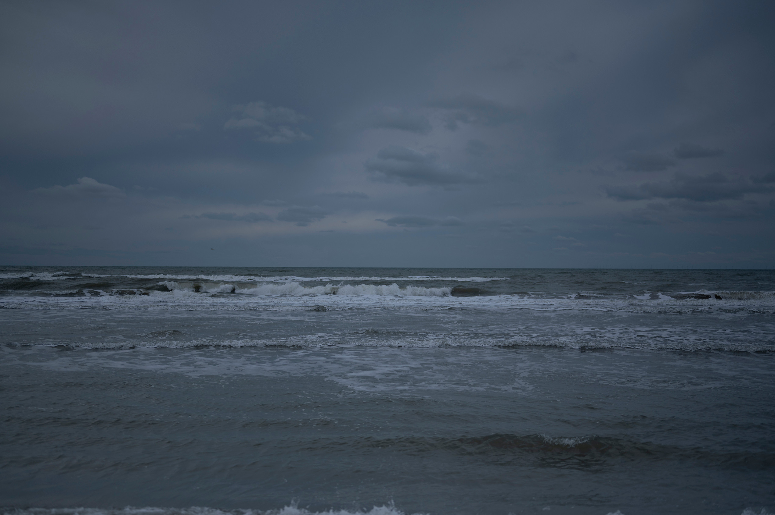 Original template taken with Nikon Z6.