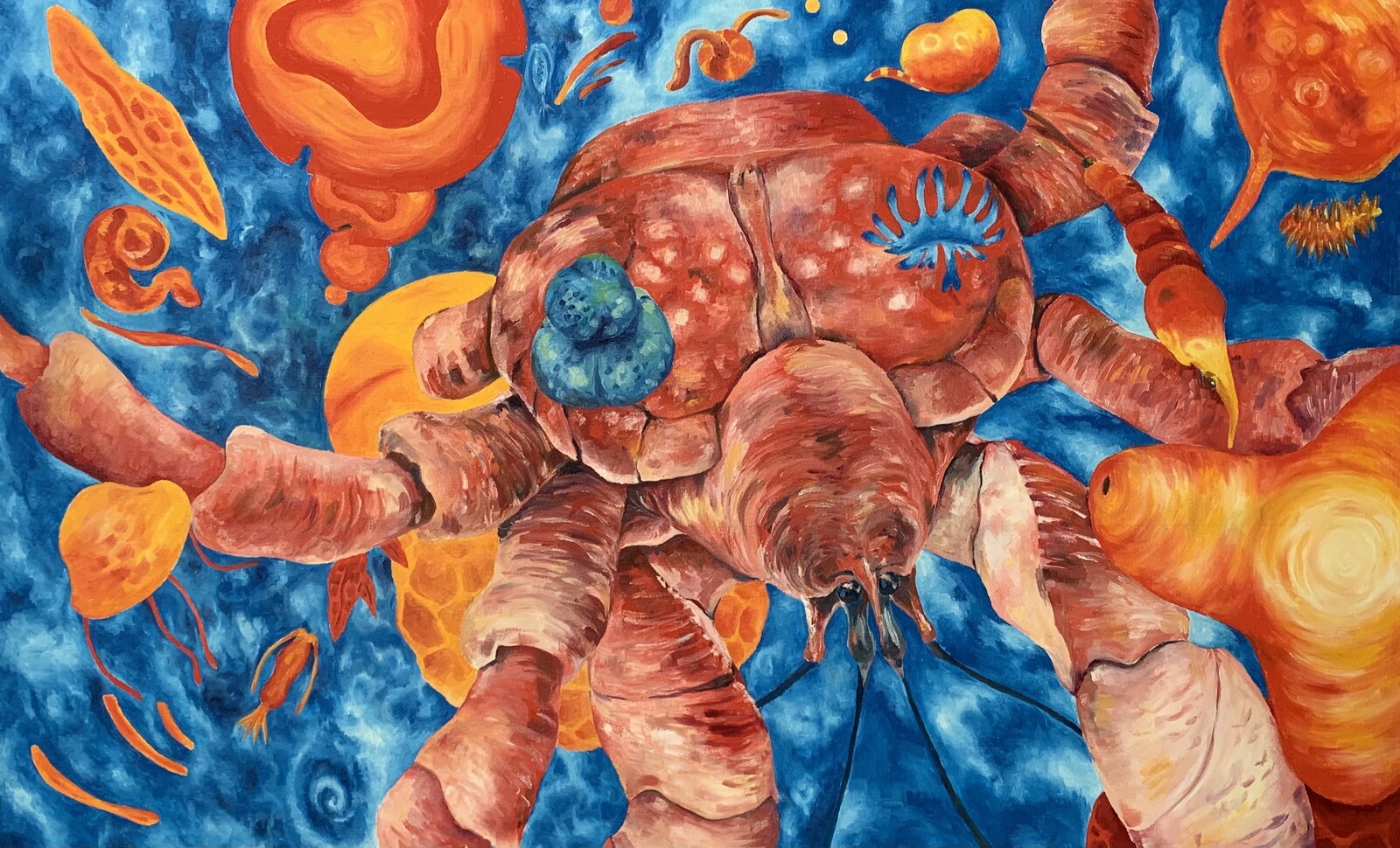 Coconut crabs and diatoms