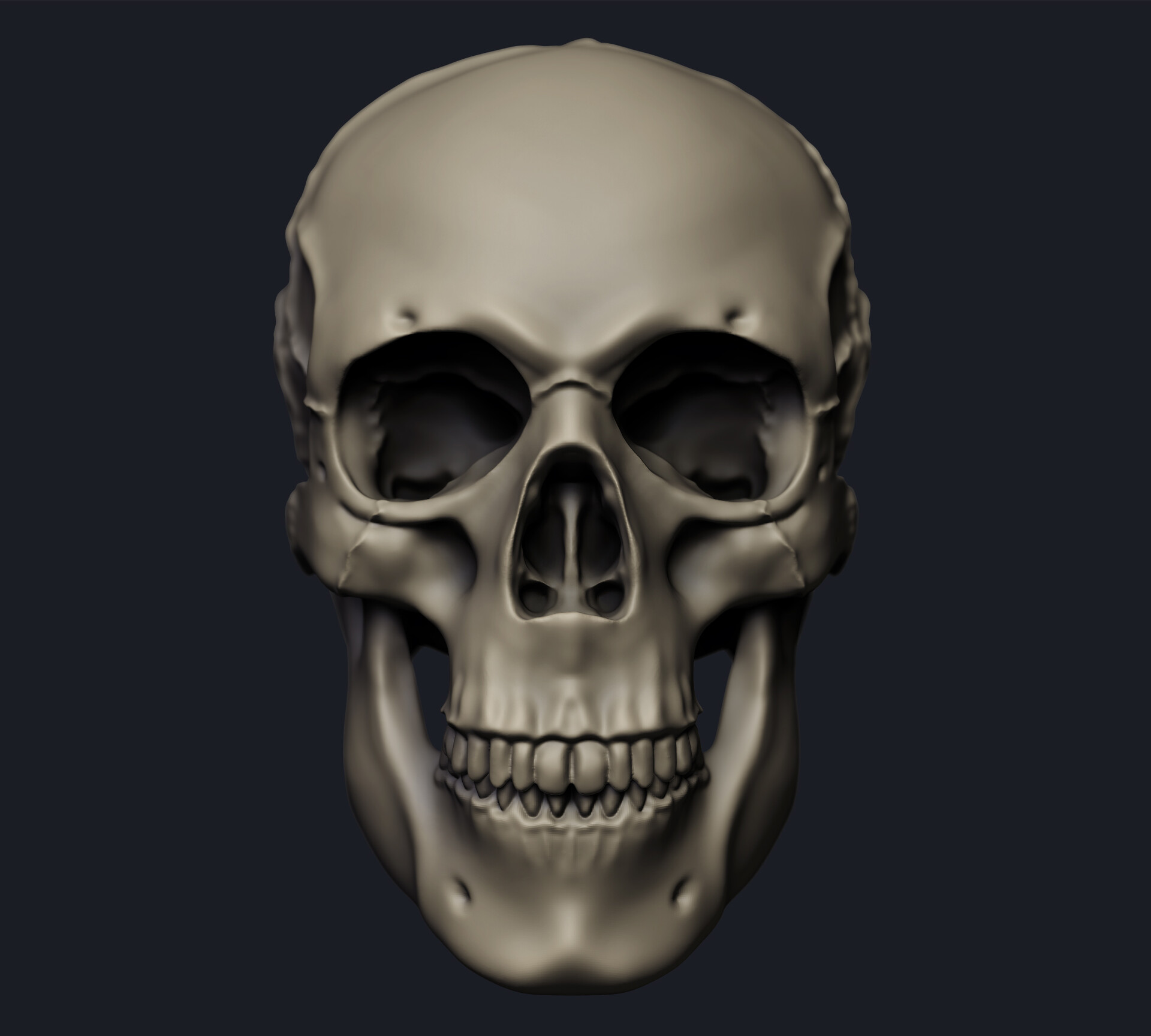 ArtStation - Realistic Human Skull