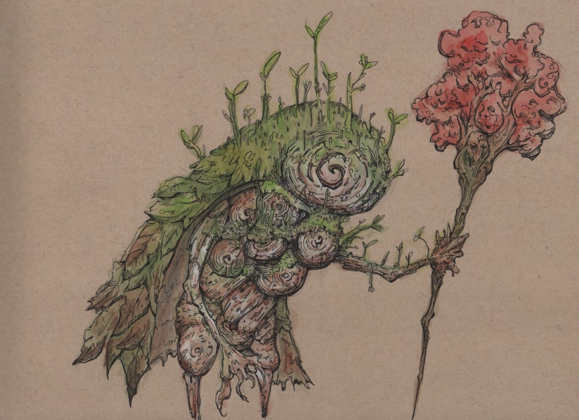 Wanderer in Birch