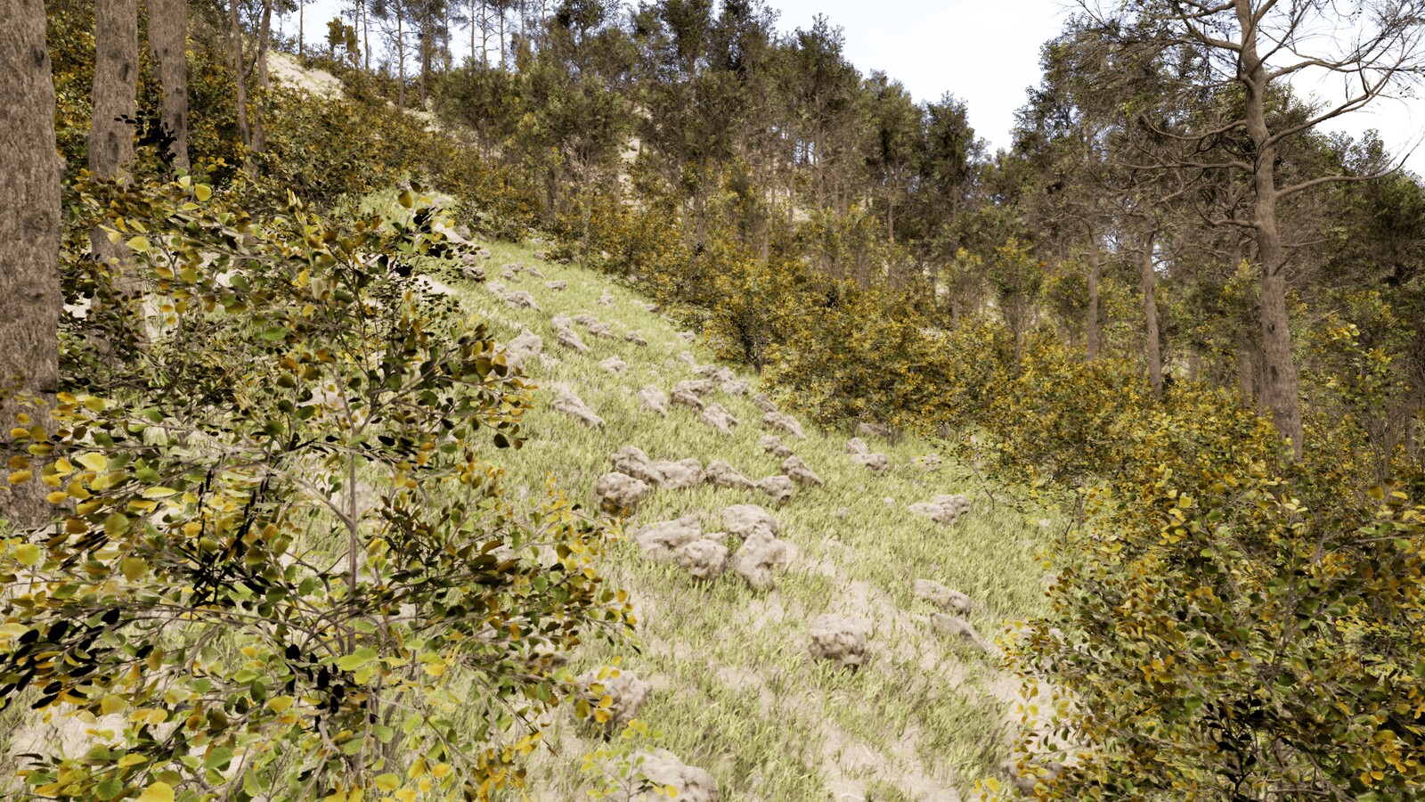 Further Secondary Points of Interest