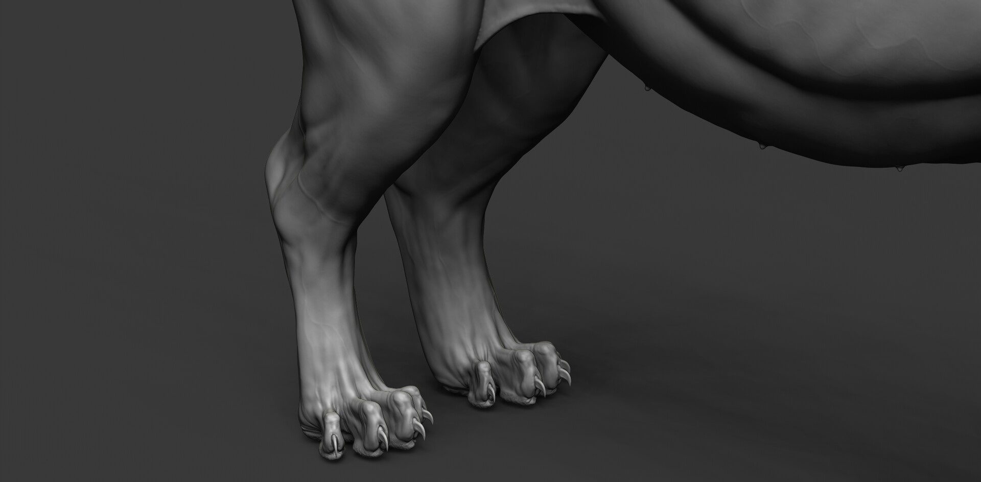 Mature Cougar Feet