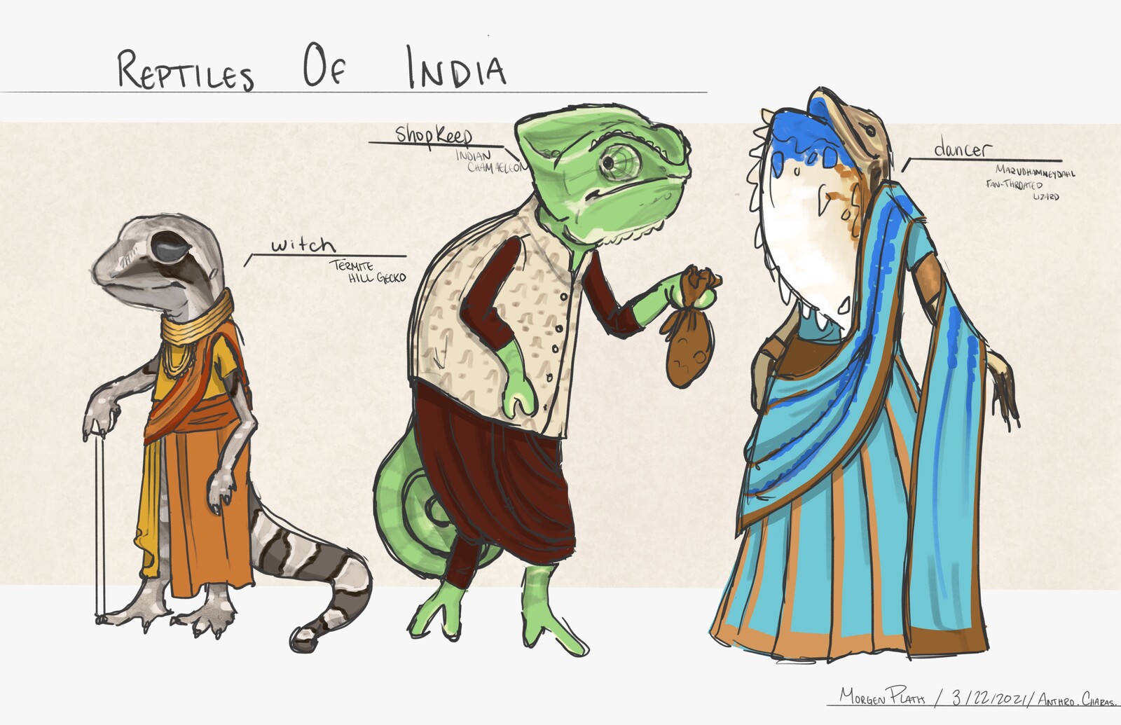 Animal Character Designs