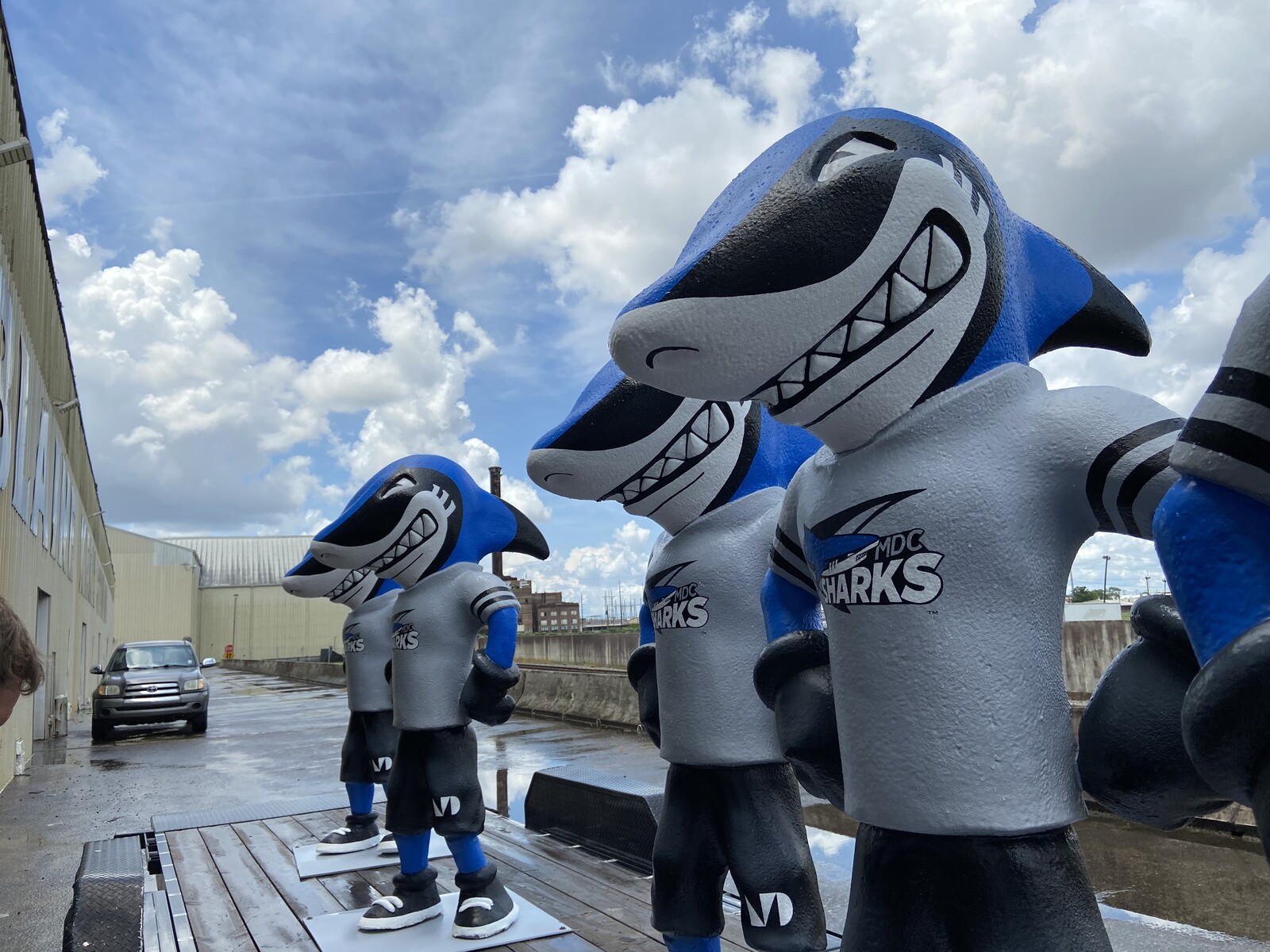 Miami Dade Shark Mascot