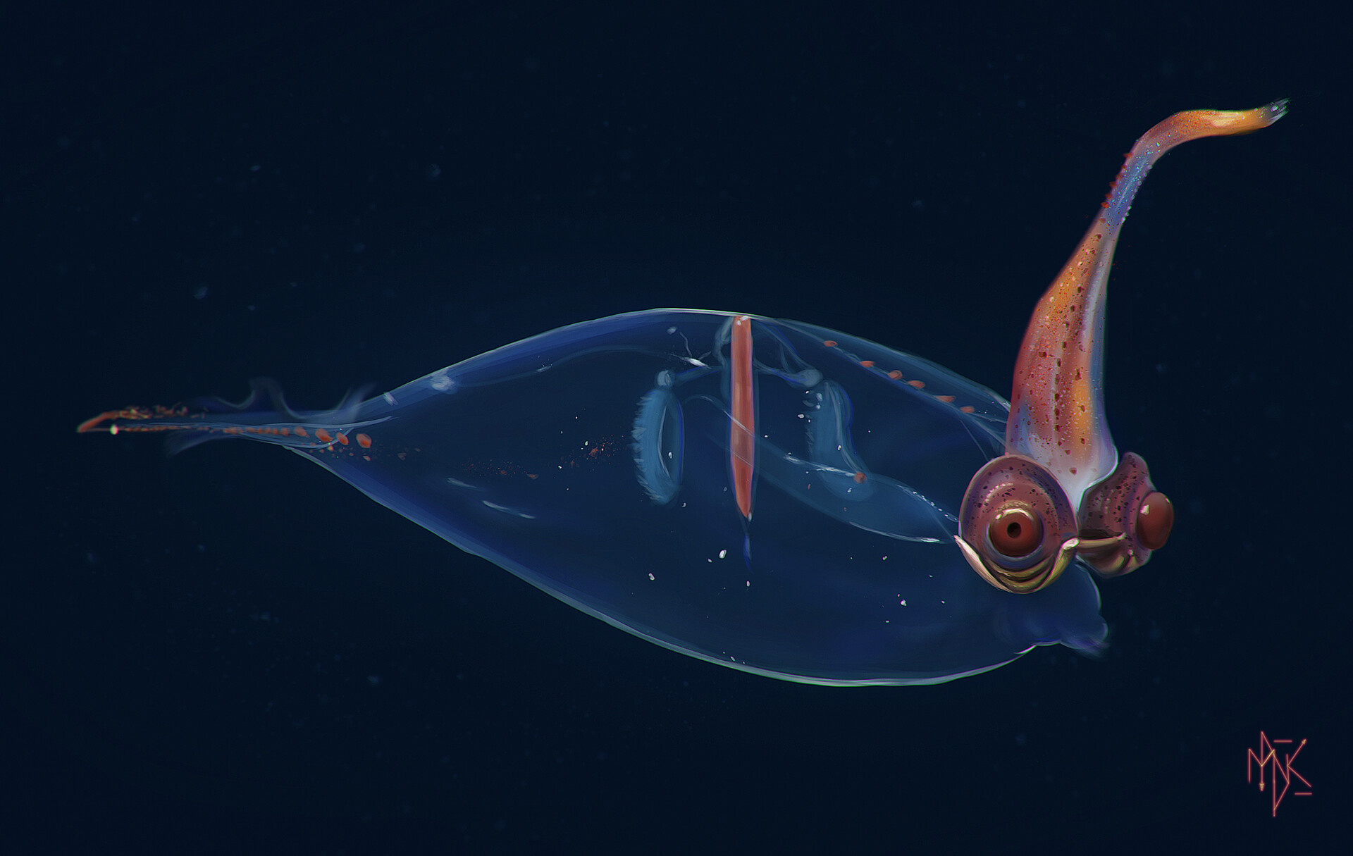 rarest deep sea creatures