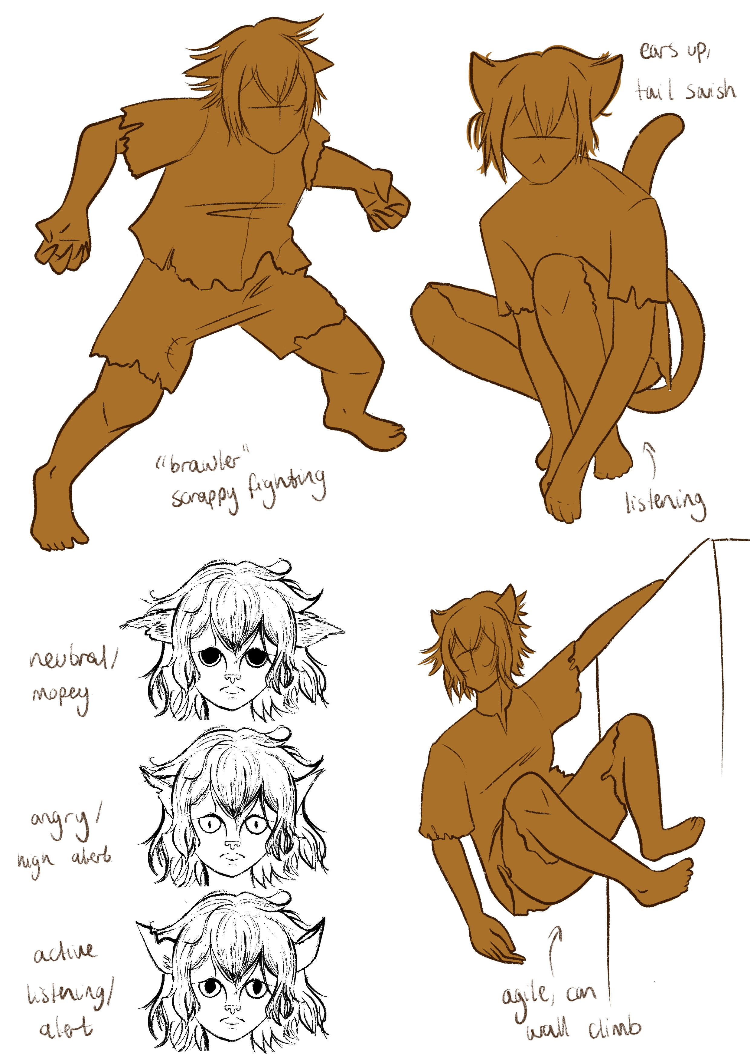 Mechanics Concepts