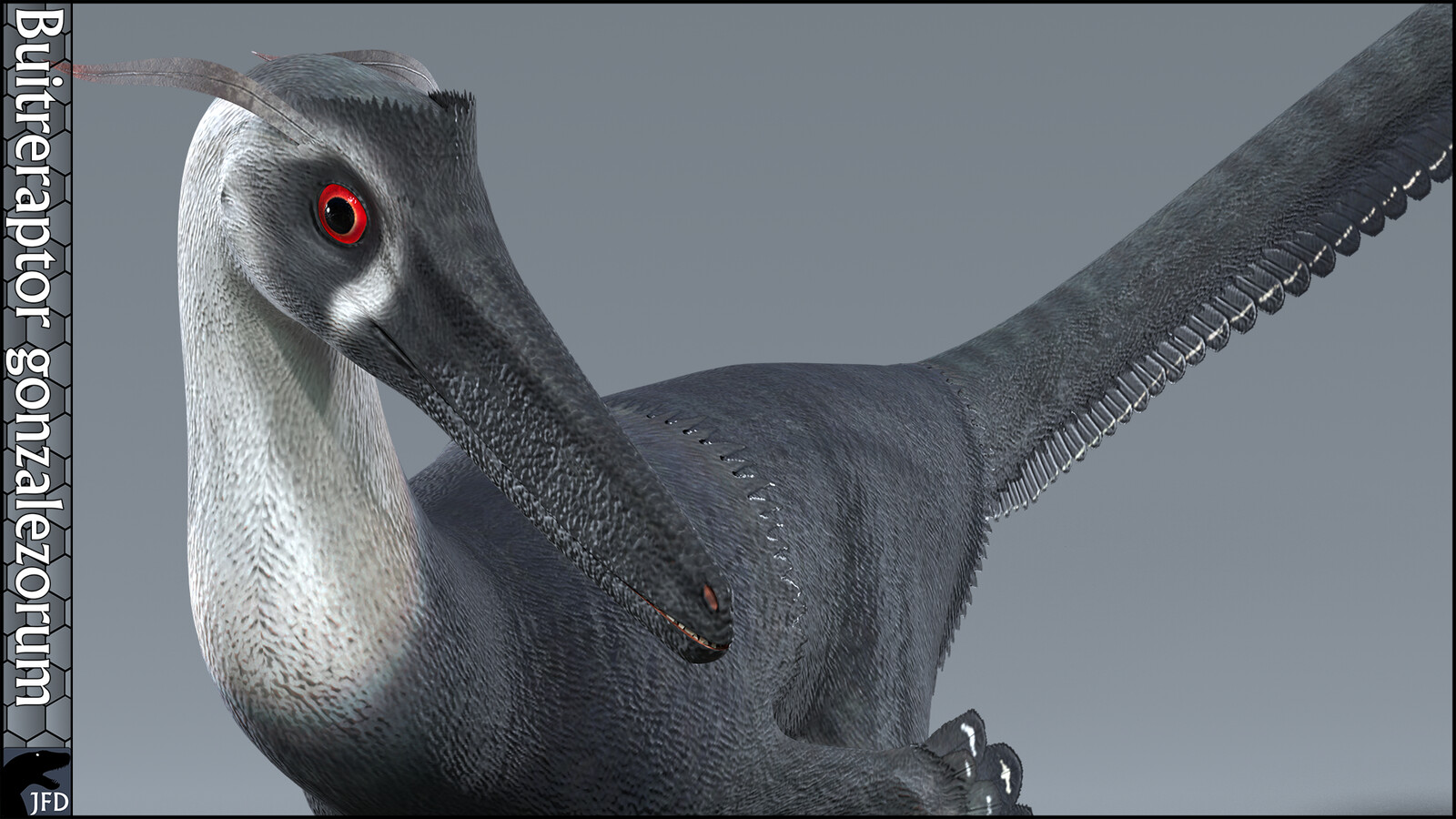 Buitreraptor gonzalezorum face closeup.