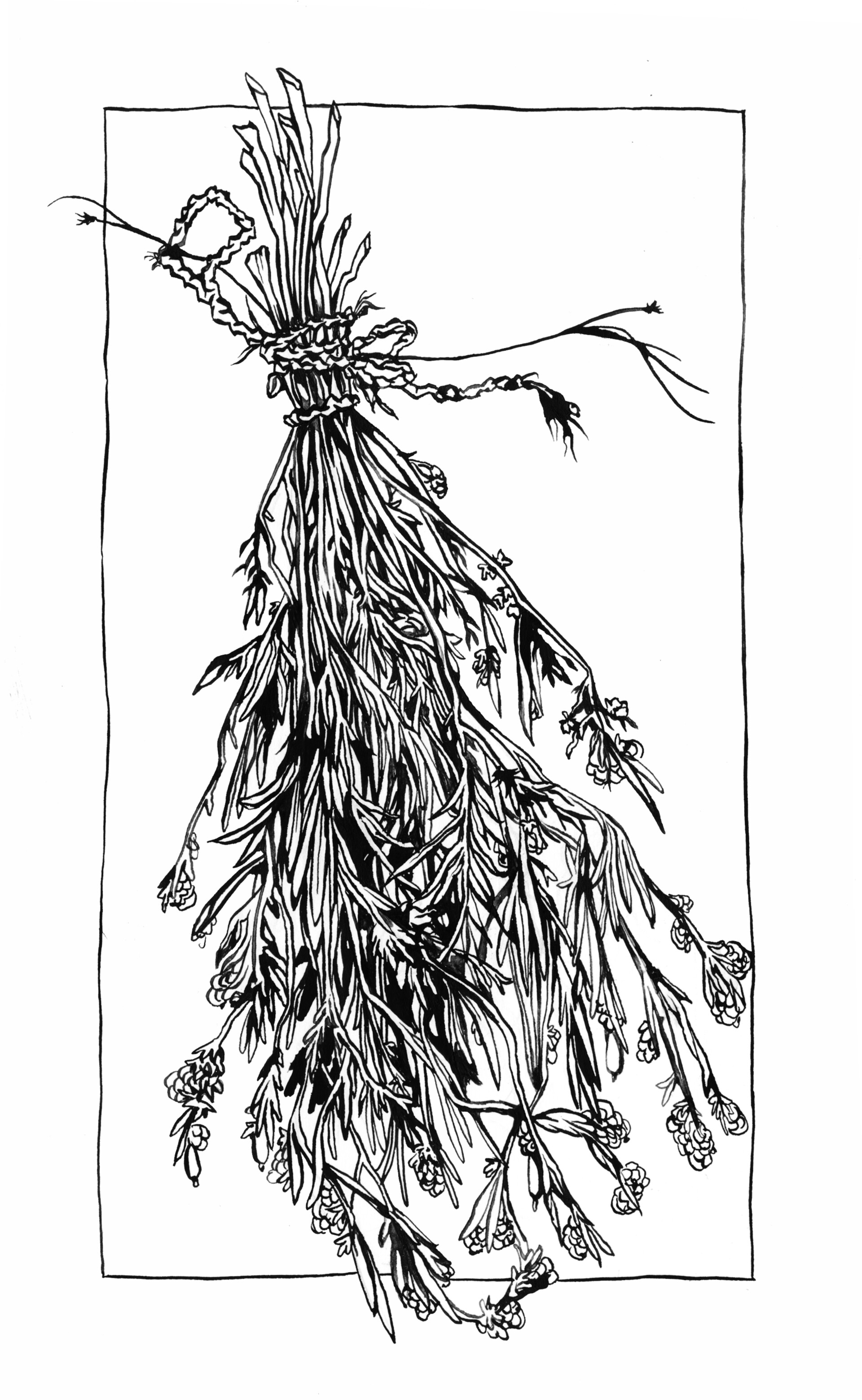 ArtStation Herb Bundle Ink Illustration