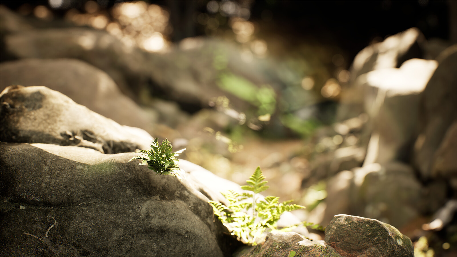 Rocky Trail 01 Unreal Engine 5 Early Access