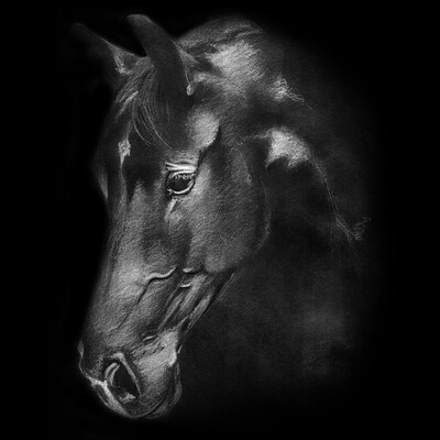 Rindo, cavalo jawning fotografia editorial. Imagem de caro - 96470167