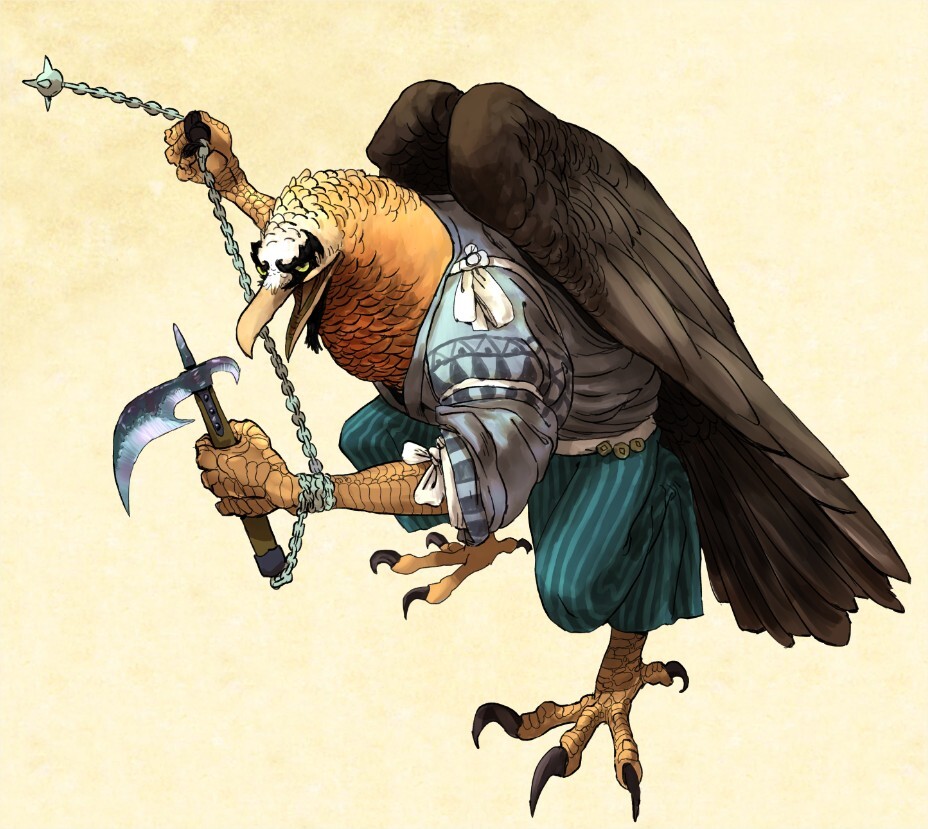 Aerian Race (D&amp;D Character)