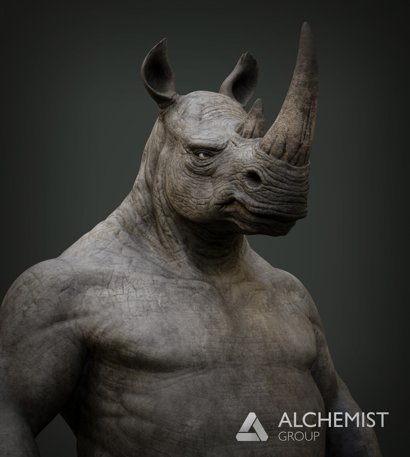 Rhinoceros_01