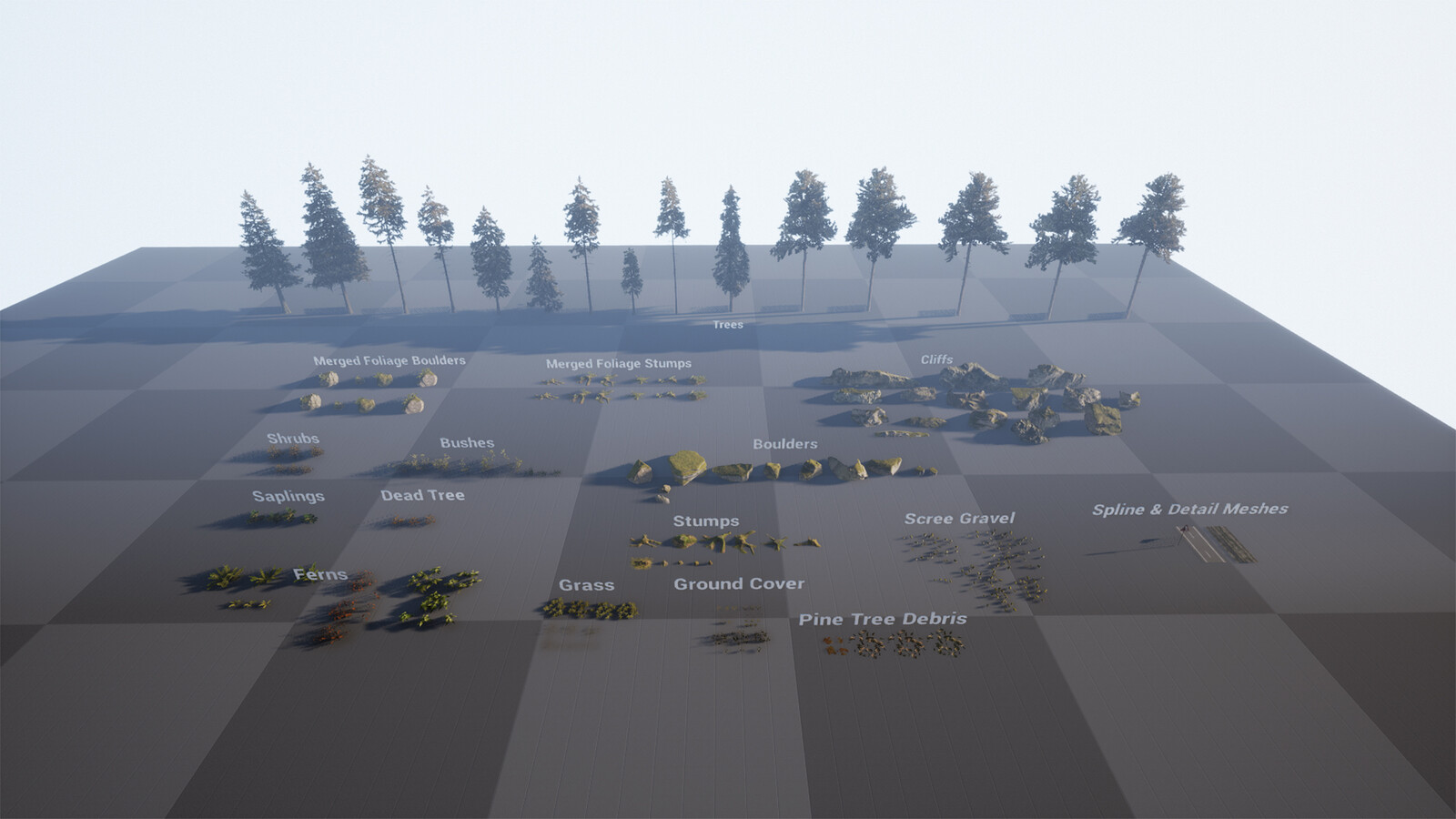 Asset Overview