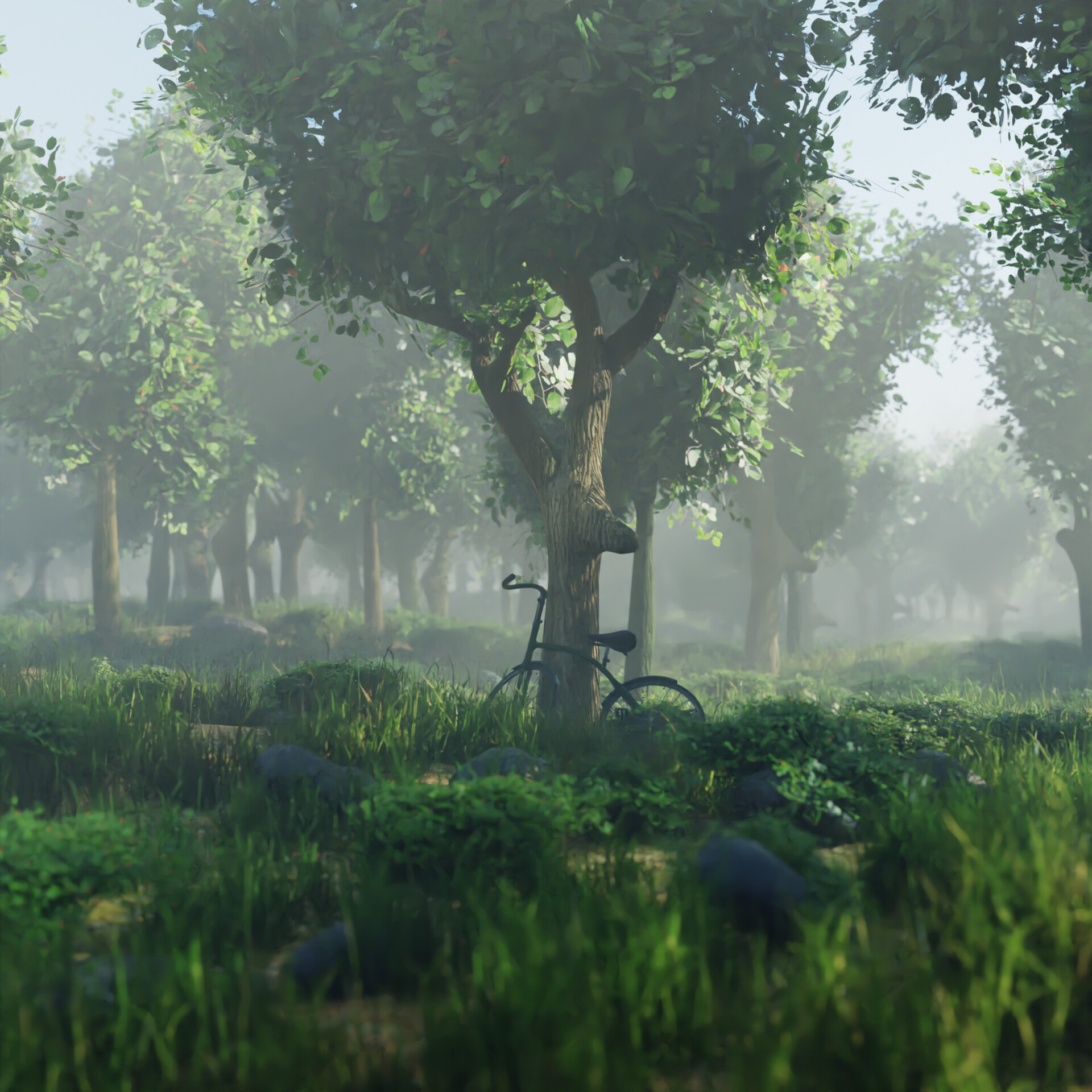 how to find lost cycle