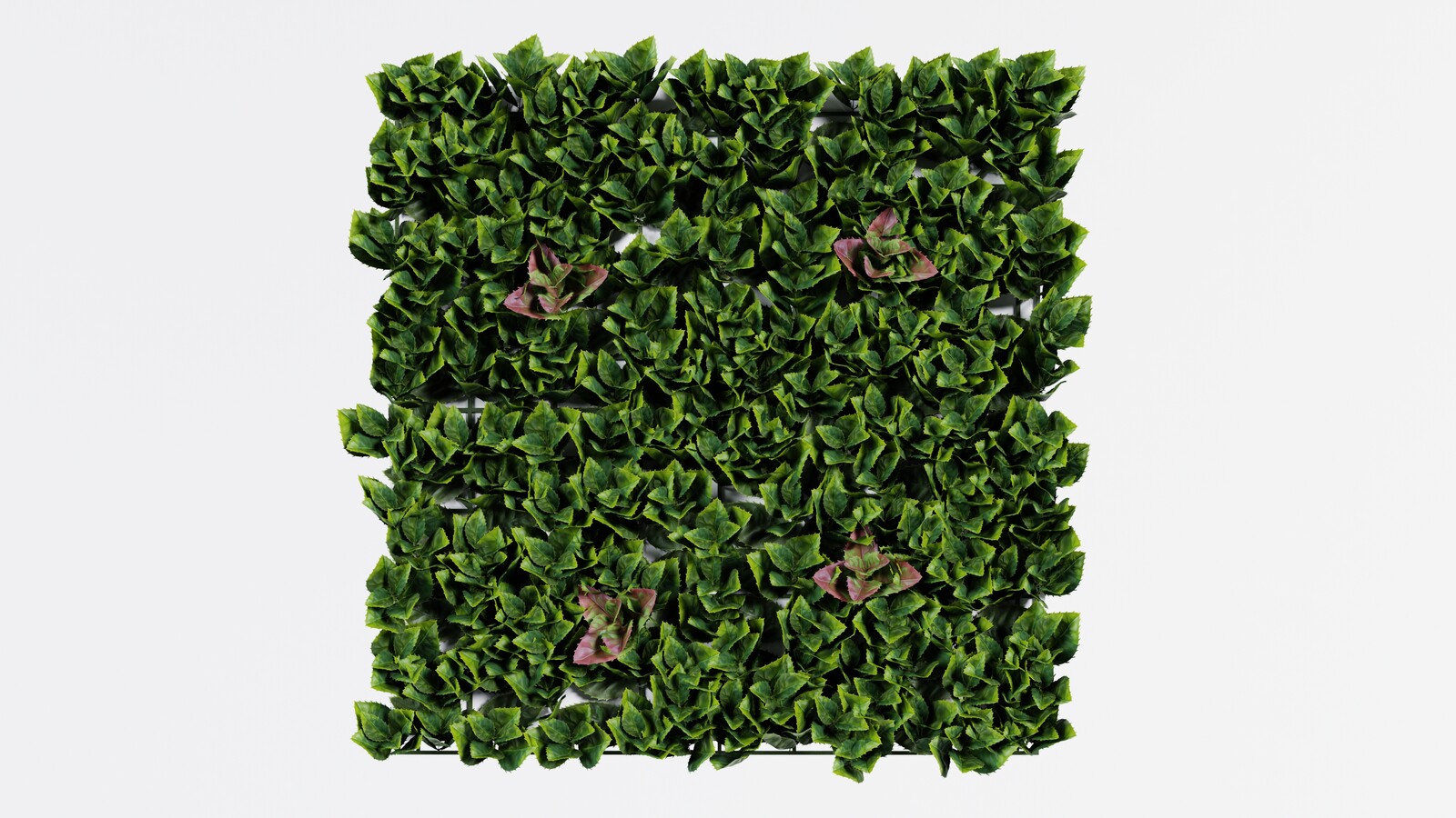 https://hk-green.eu/photinia-artificial-panel-50x50-cm-p30001