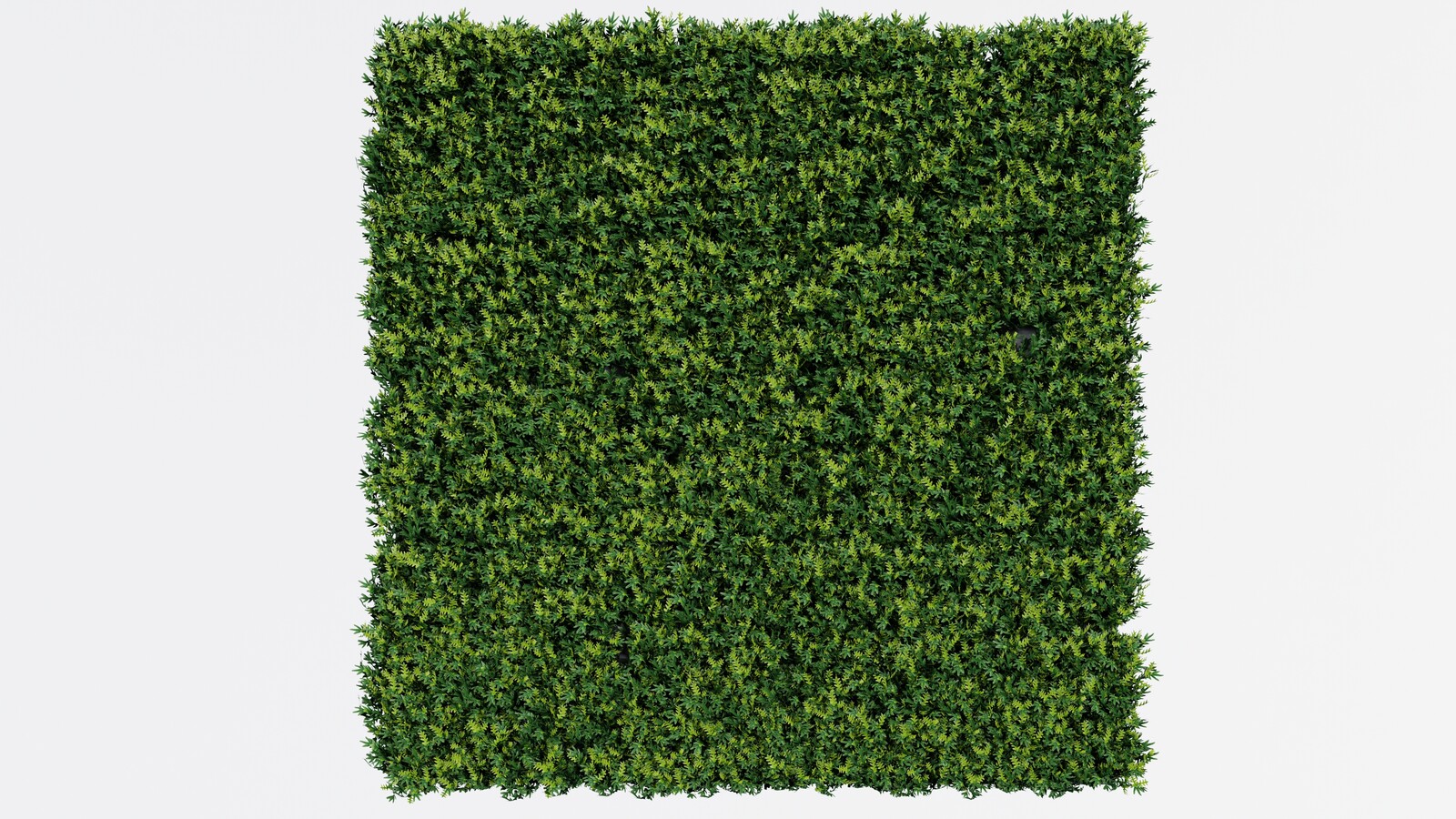 https://hk-green.eu/artificial-panel-rosemary-50x50-cm-p30005