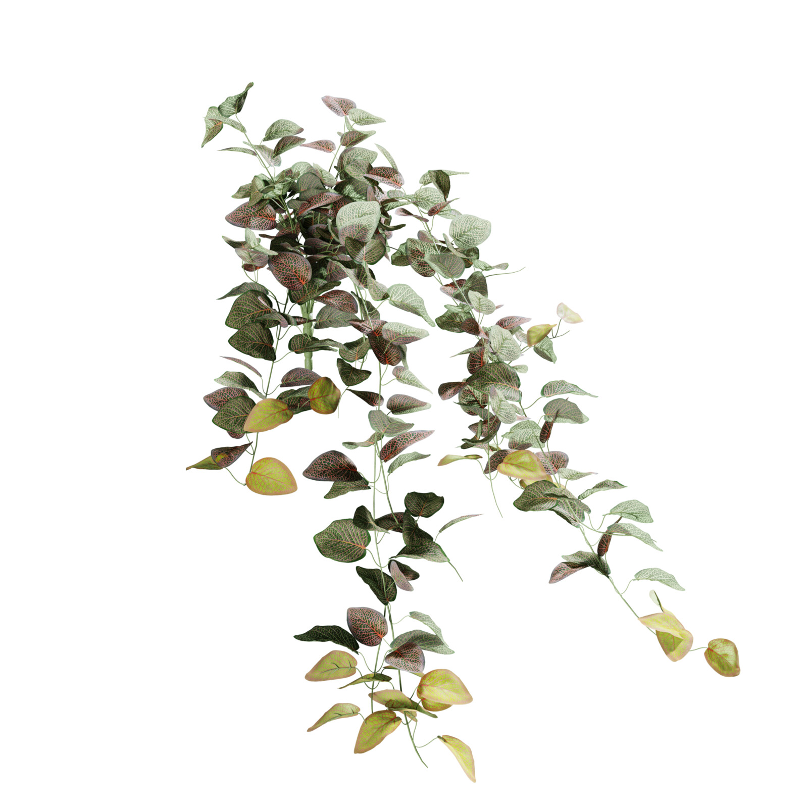 https://hk-green.eu/artificial-tendril-fitonia-red-80-cm-p20226