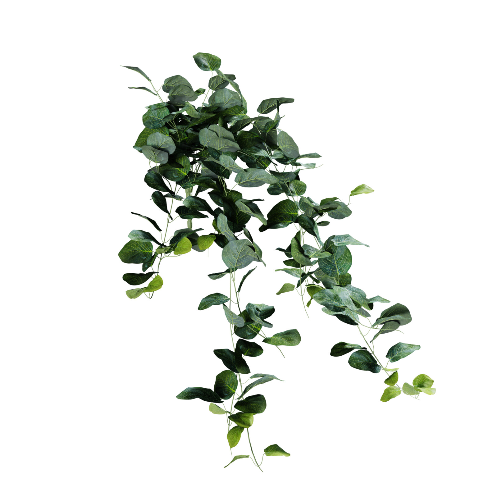 https://hk-green.eu/artificial-tendril-fitonia-green-80-cm-p20228